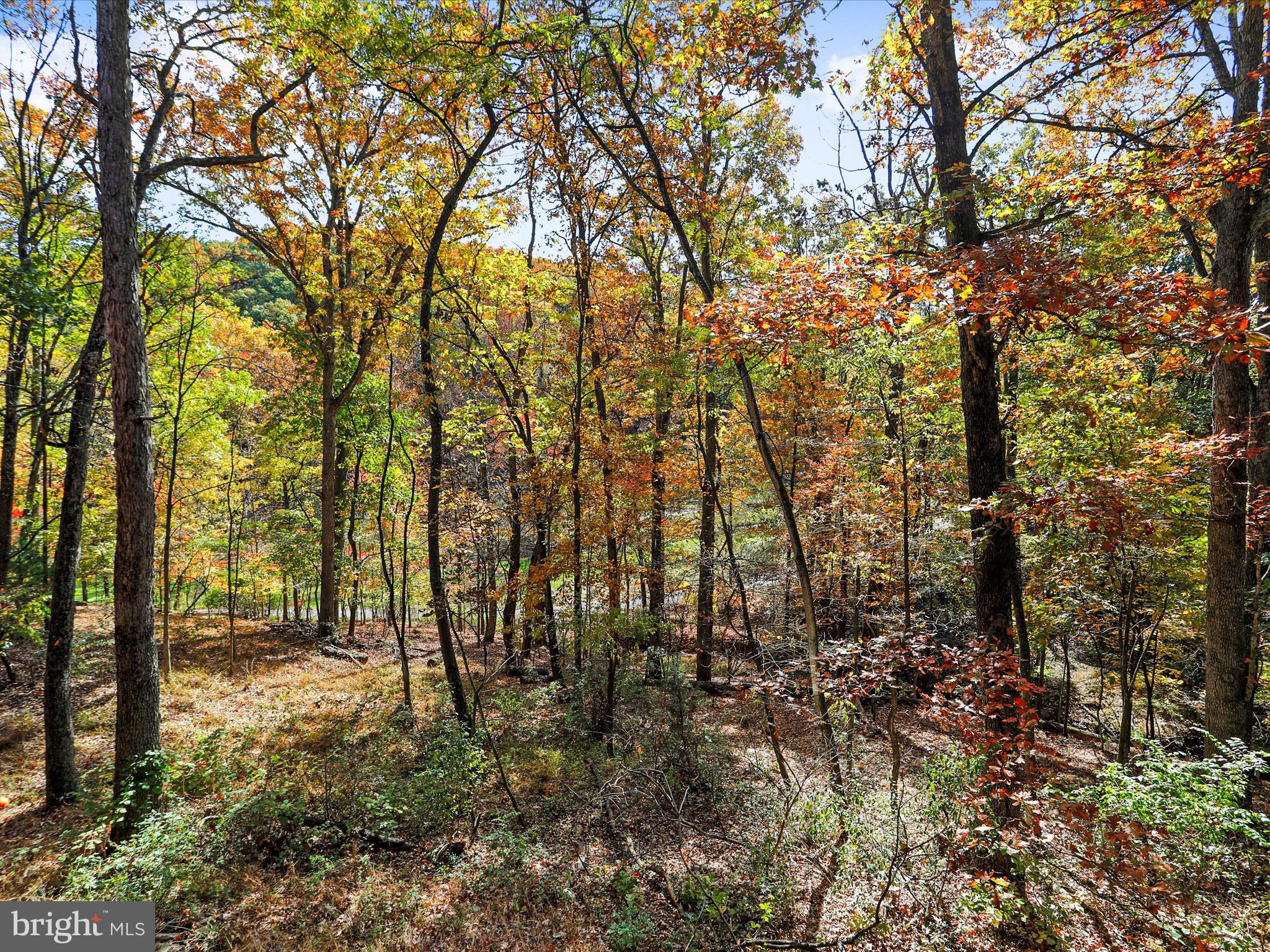 THE WOODS - Residential