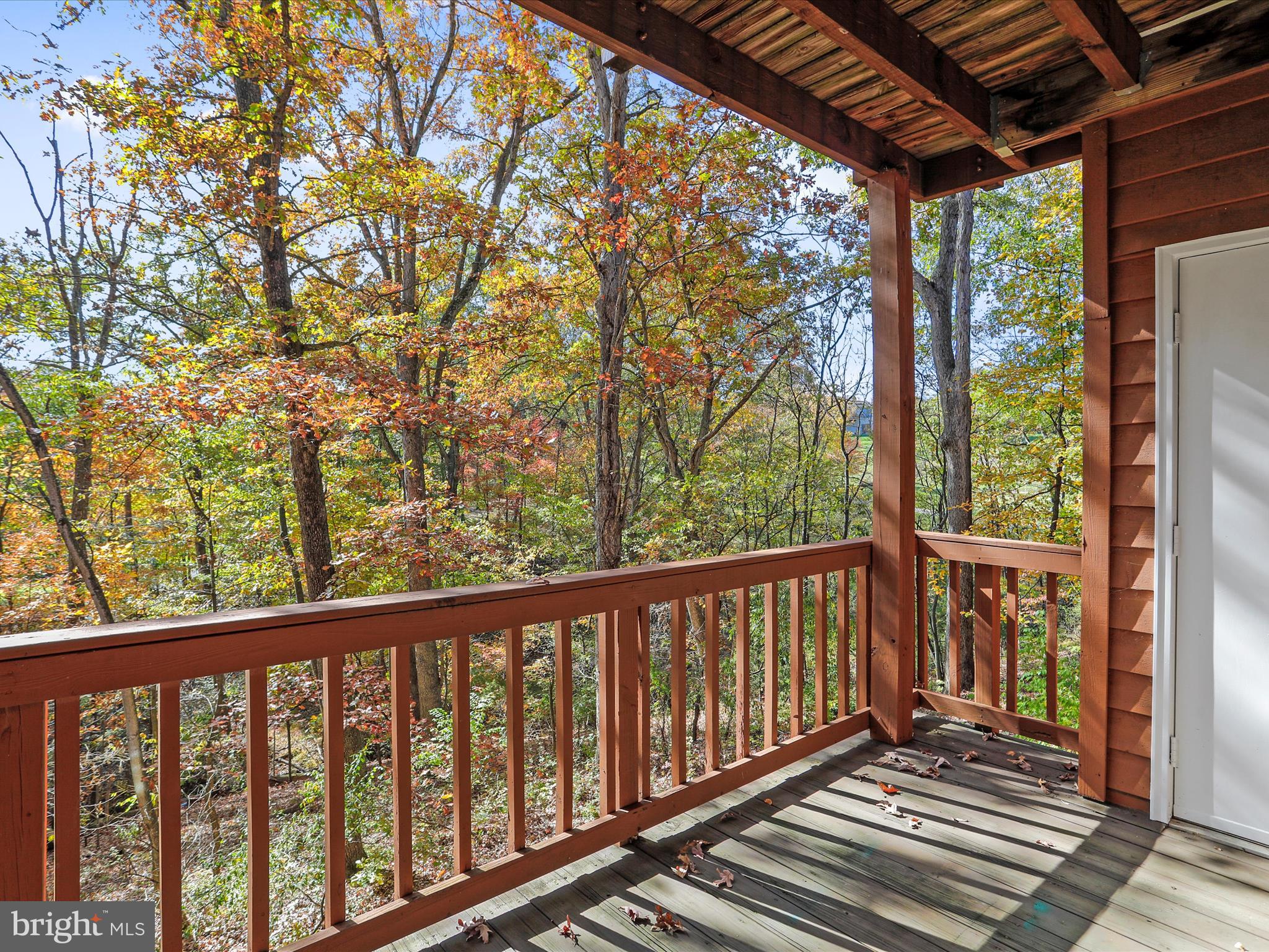 THE WOODS - Residential