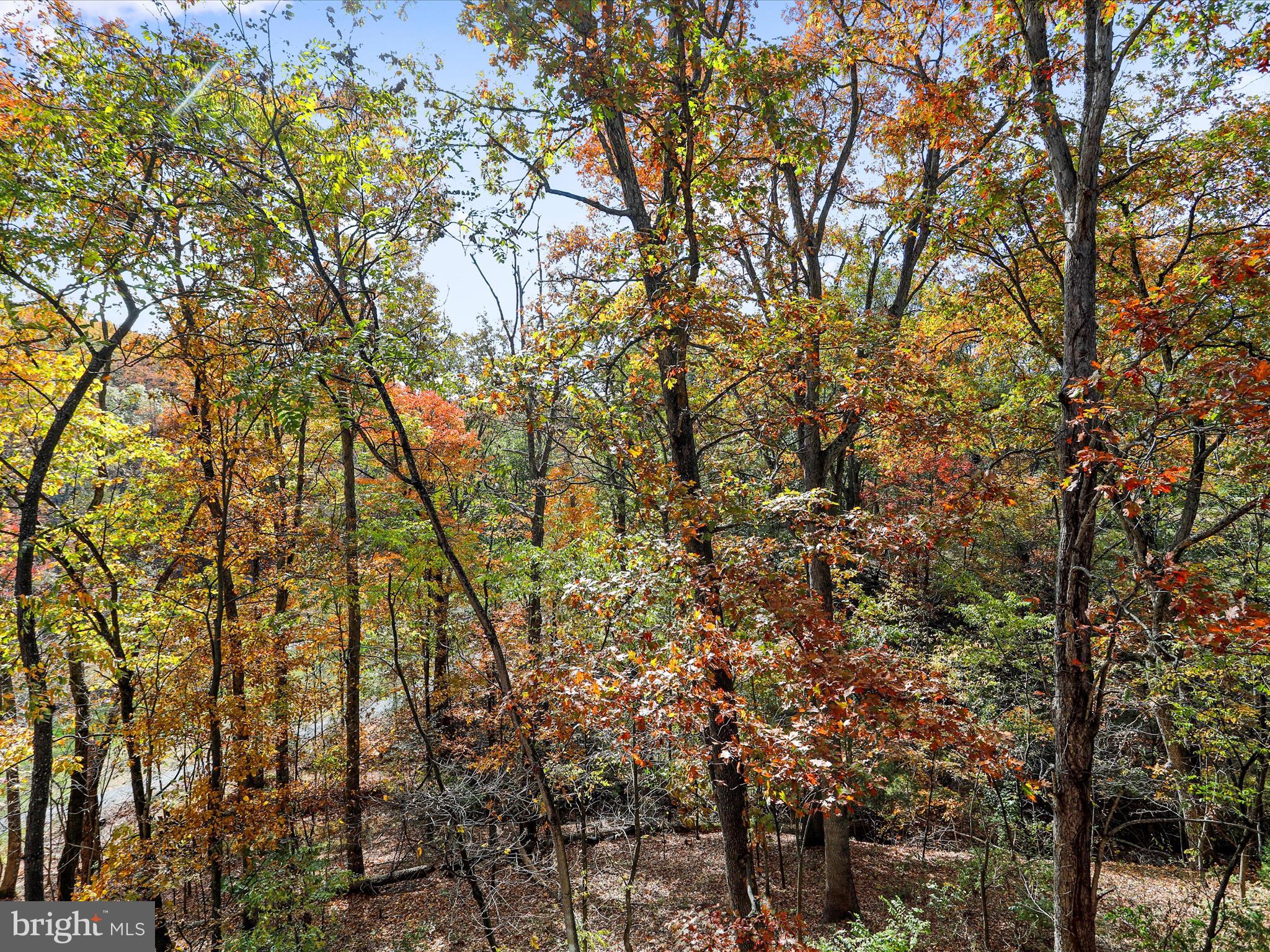 THE WOODS - Residential