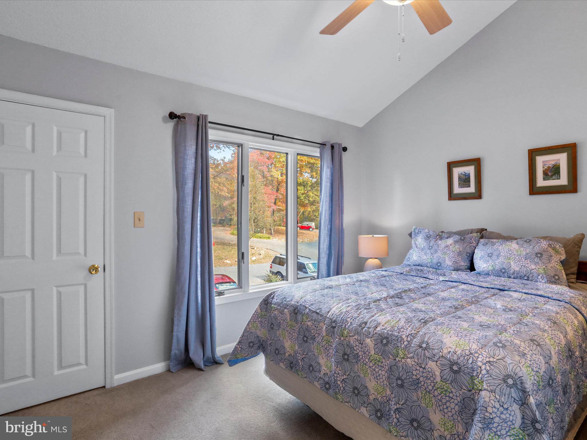 THE WOODS - Residential