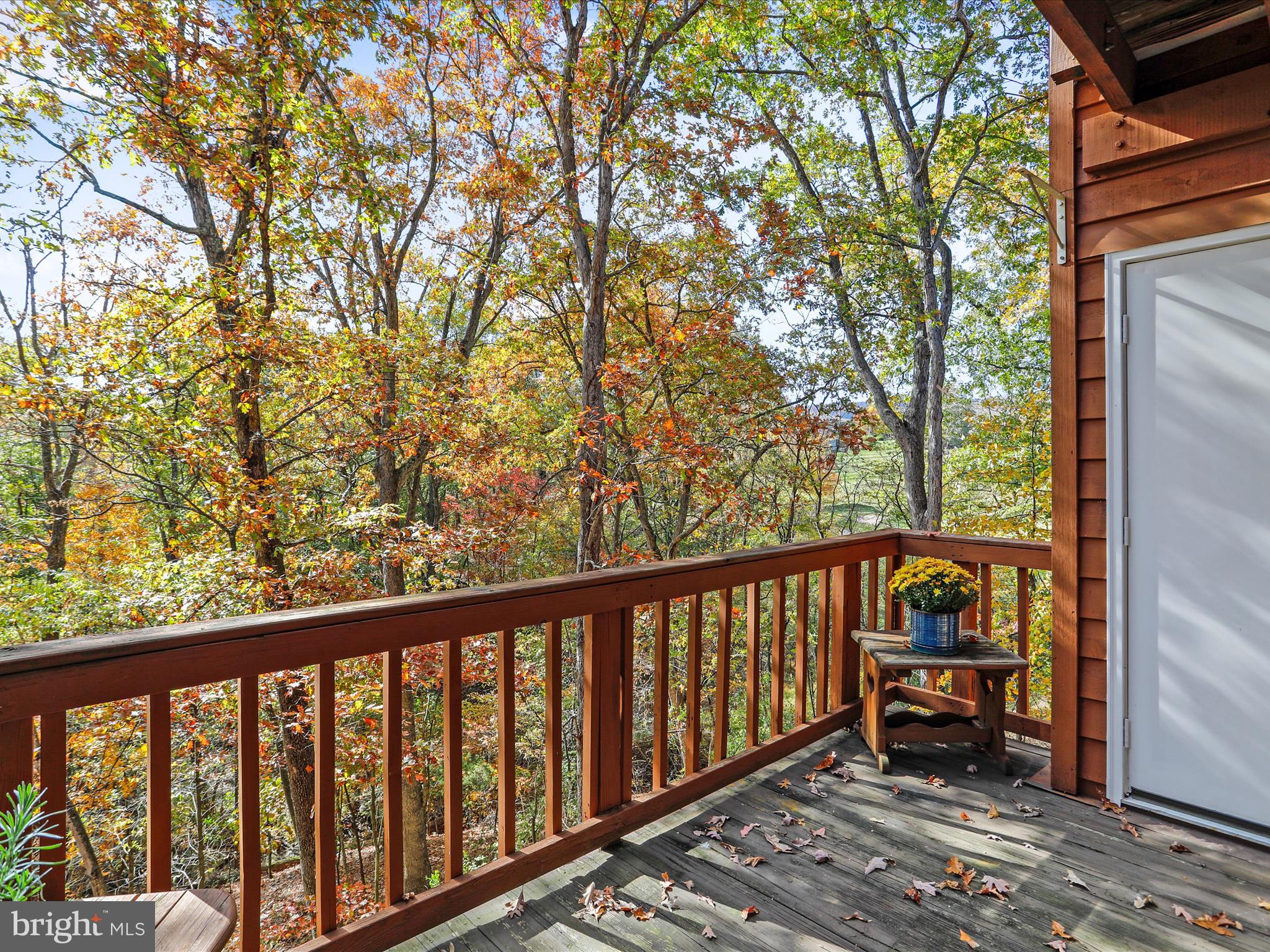 THE WOODS - Residential