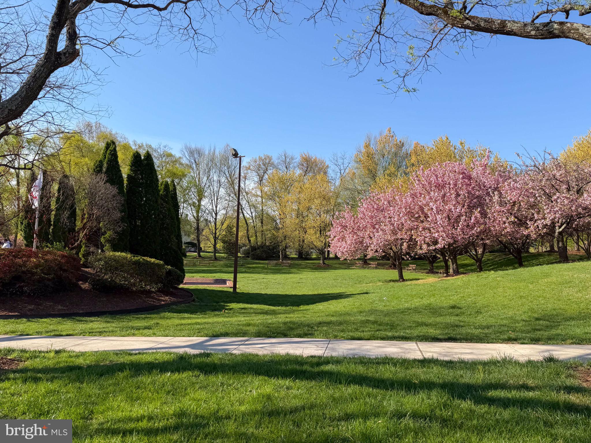 COURTHOUSE SQUARE - Residential