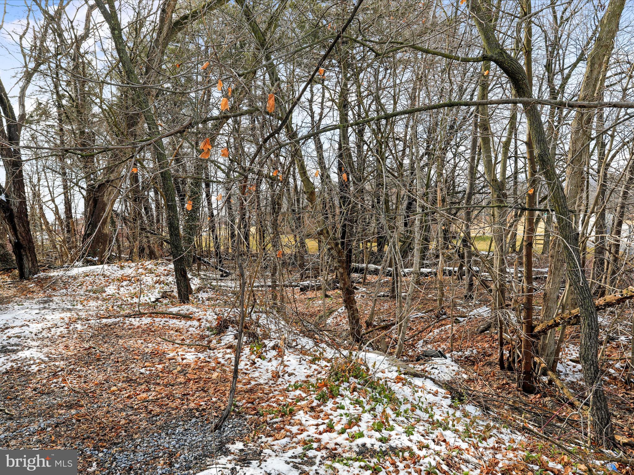 CLEAR SPRING - Commercial Sale