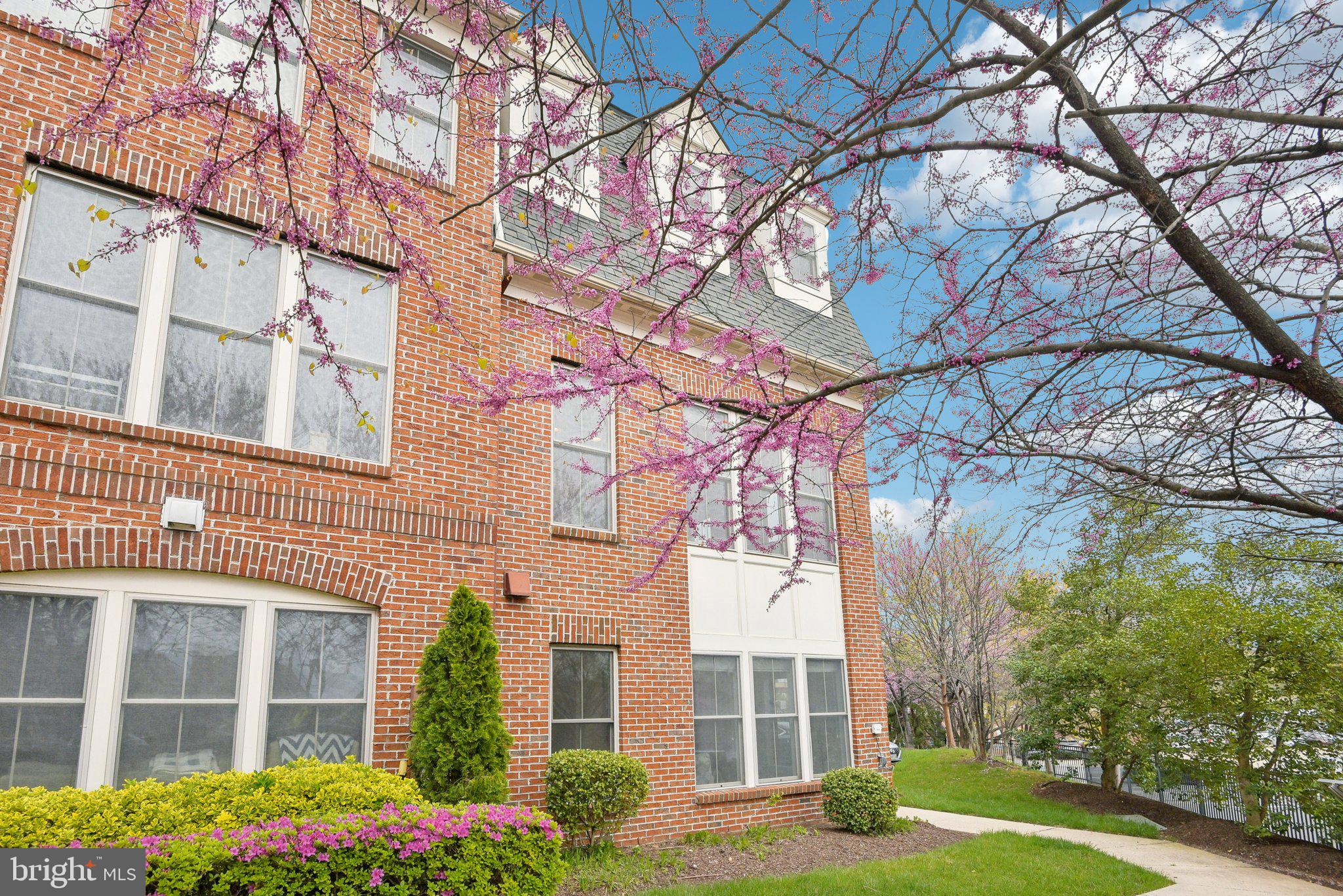 SHIRLINGTON CREST - Residential