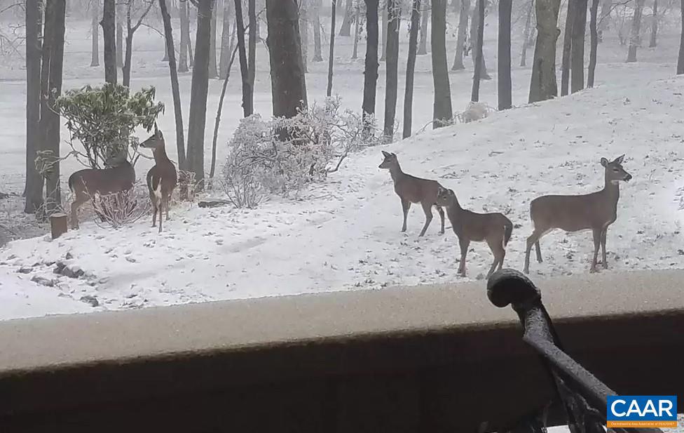 WINTERGREEN RESORT - Residential