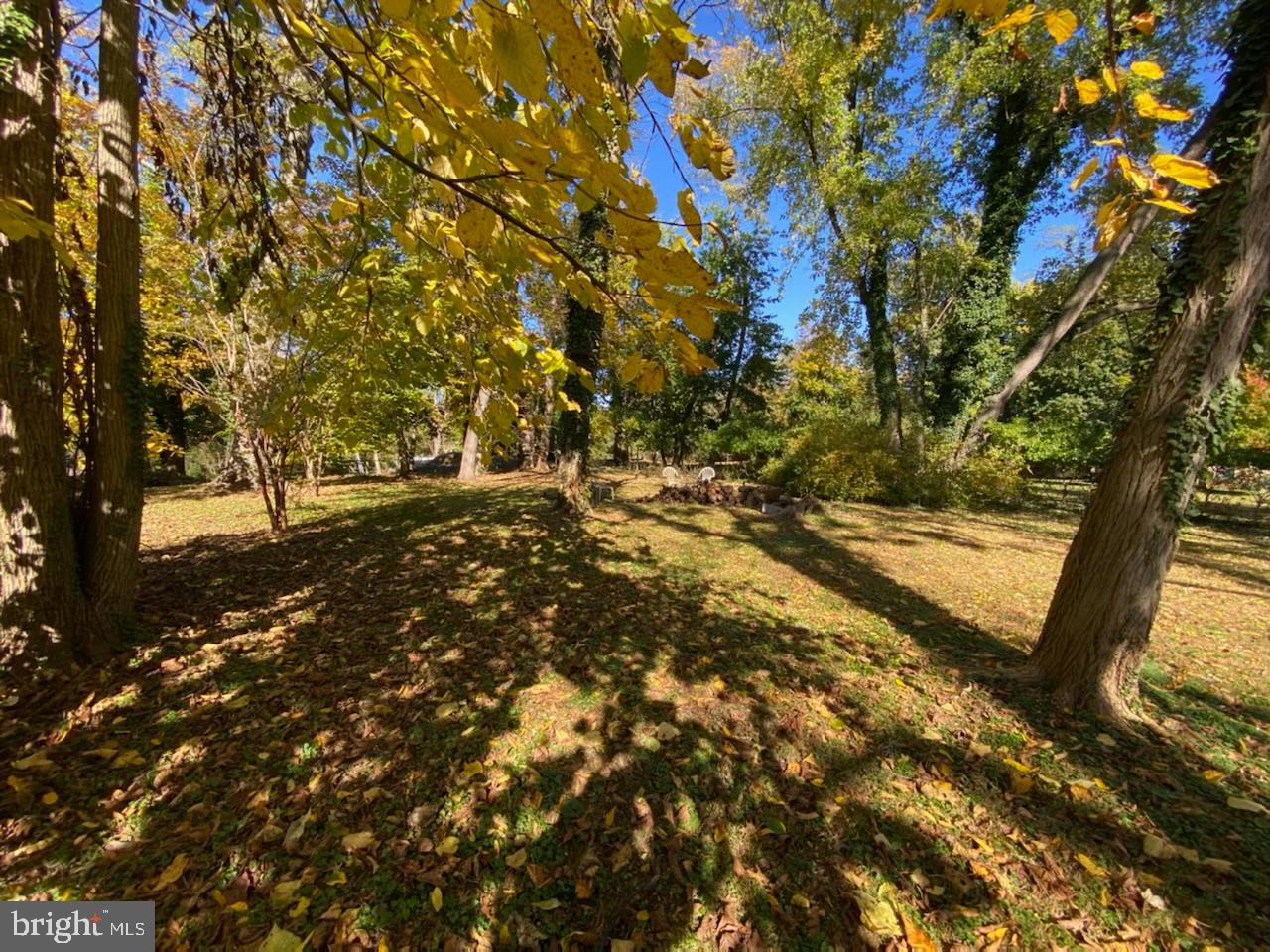 ROLAND PARK - Residential Lease