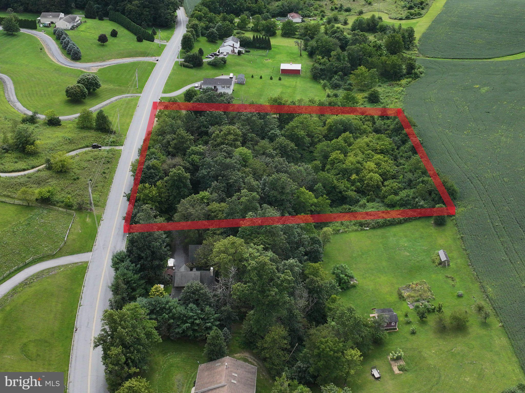 89 OSWALD ROAD