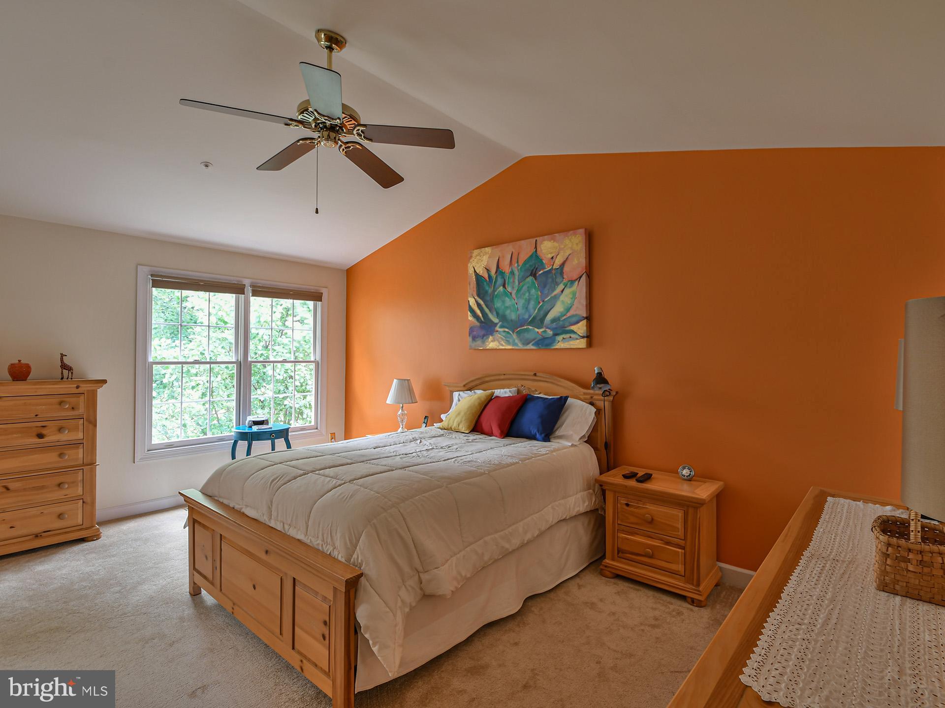 BLACKBURN VILLAGE - Residential