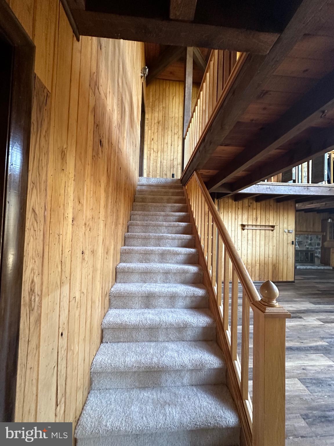 SHERWOOD FOREST/THORNY MEADOWS - Residential