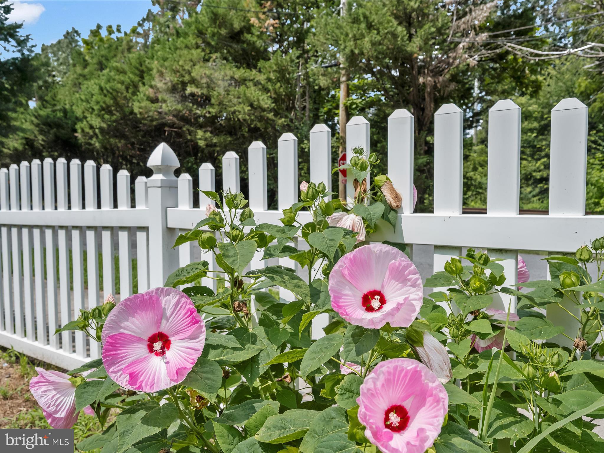 RIVERDALE PARK - Residential
