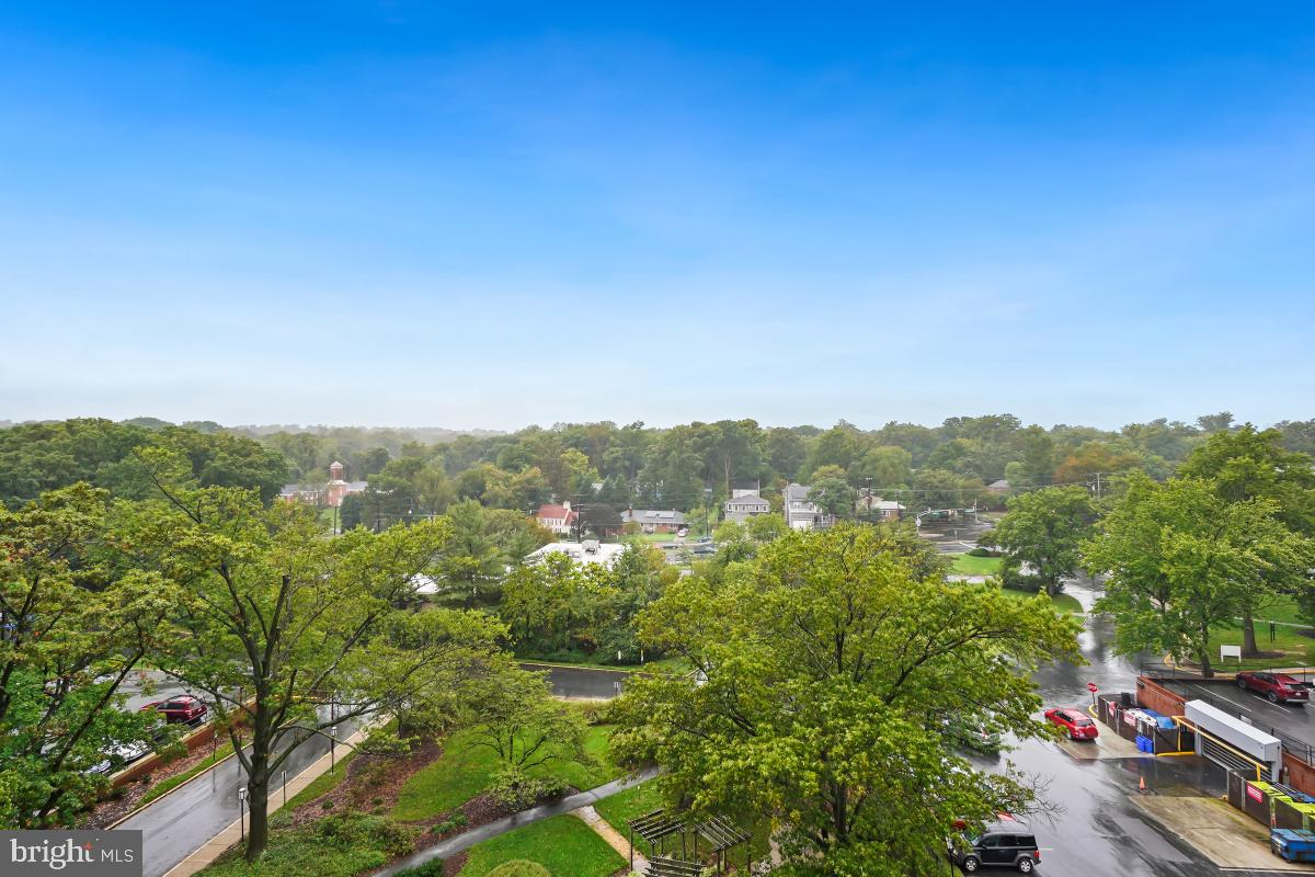 TAKOMA PARK - Residential Lease