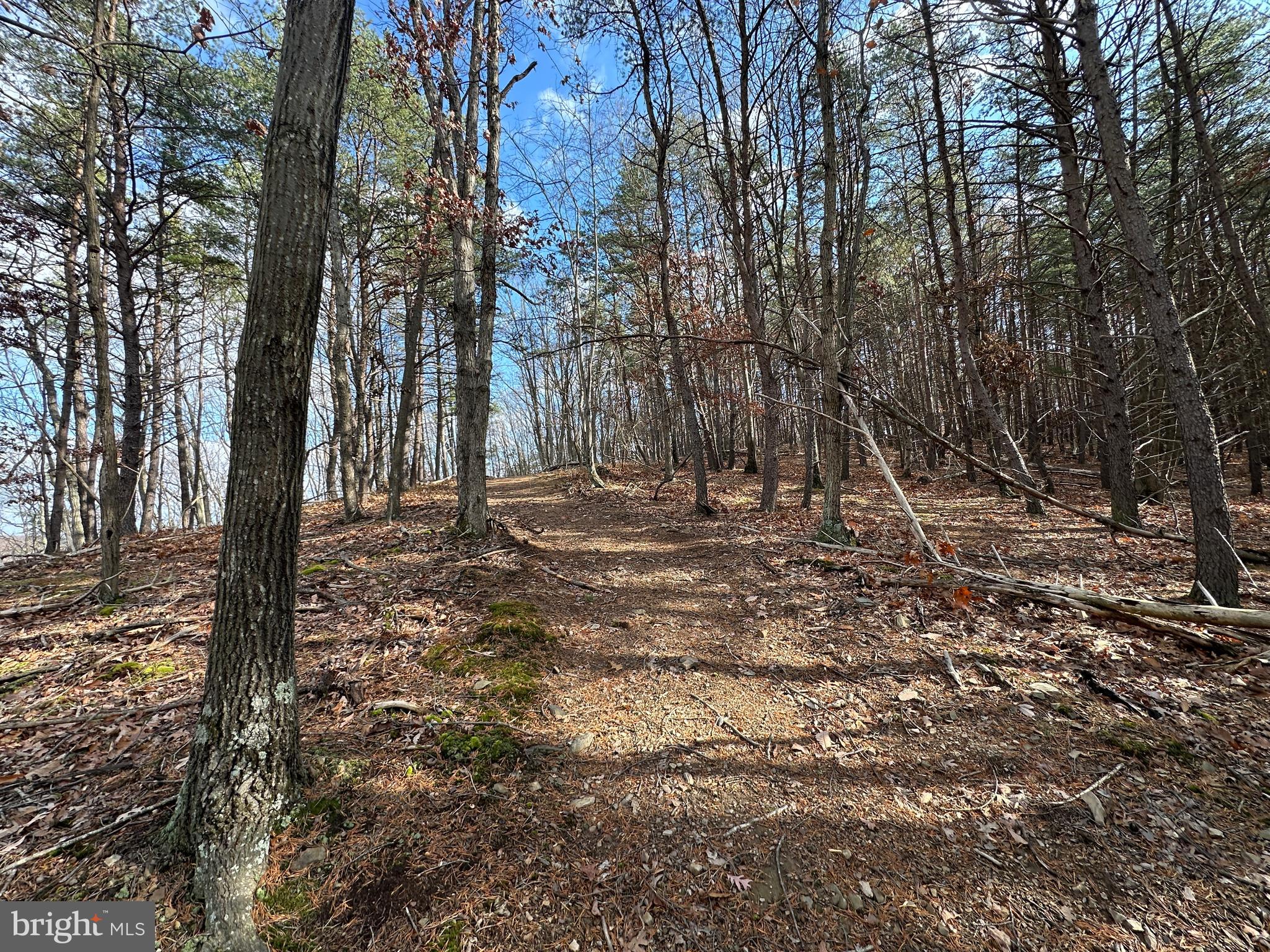 BLUFFS ON THE POTOMAC - Land