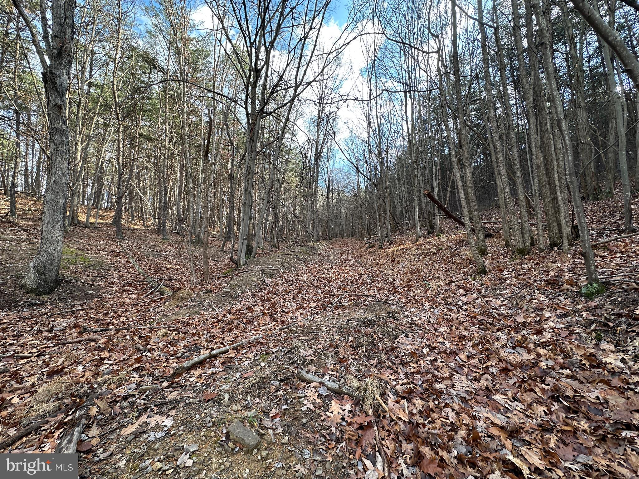 BLUFFS ON THE POTOMAC - Land