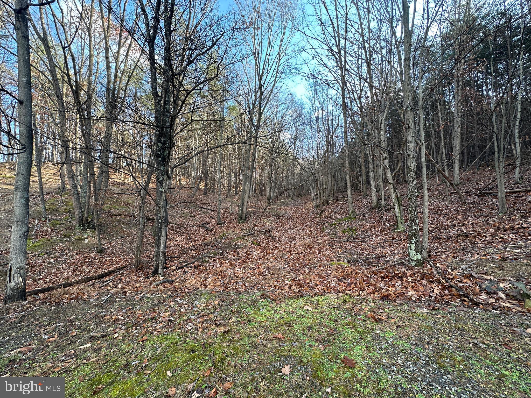 BLUFFS ON THE POTOMAC - Land