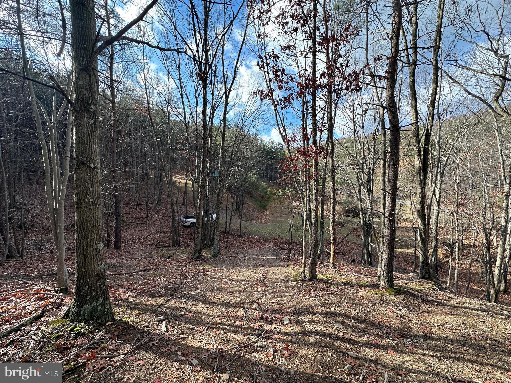 BLUFFS ON THE POTOMAC - Land