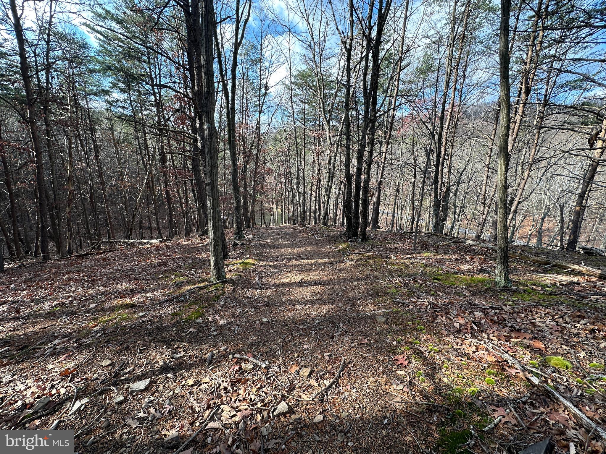 BLUFFS ON THE POTOMAC - Land