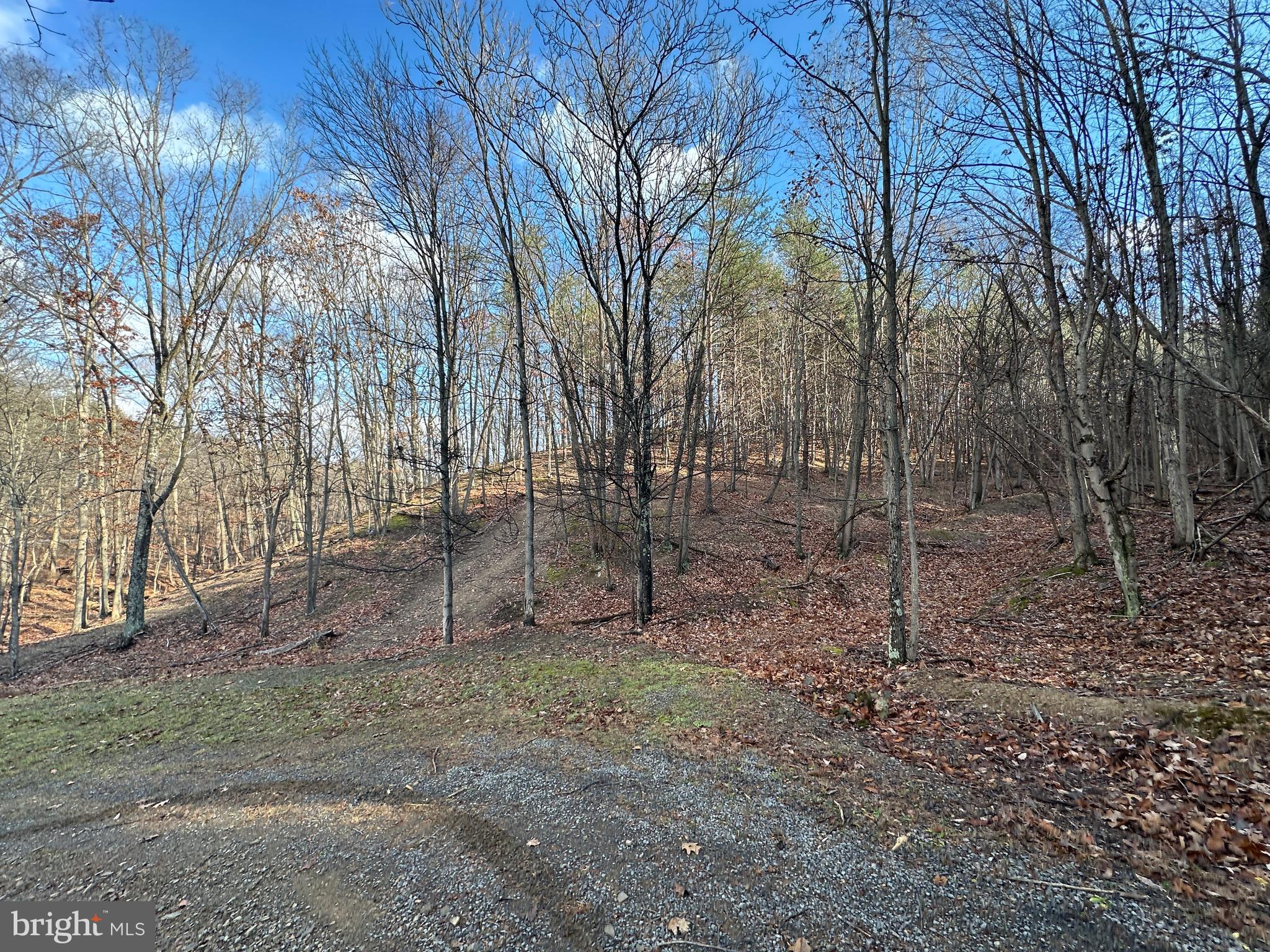 BLUFFS ON THE POTOMAC - Land