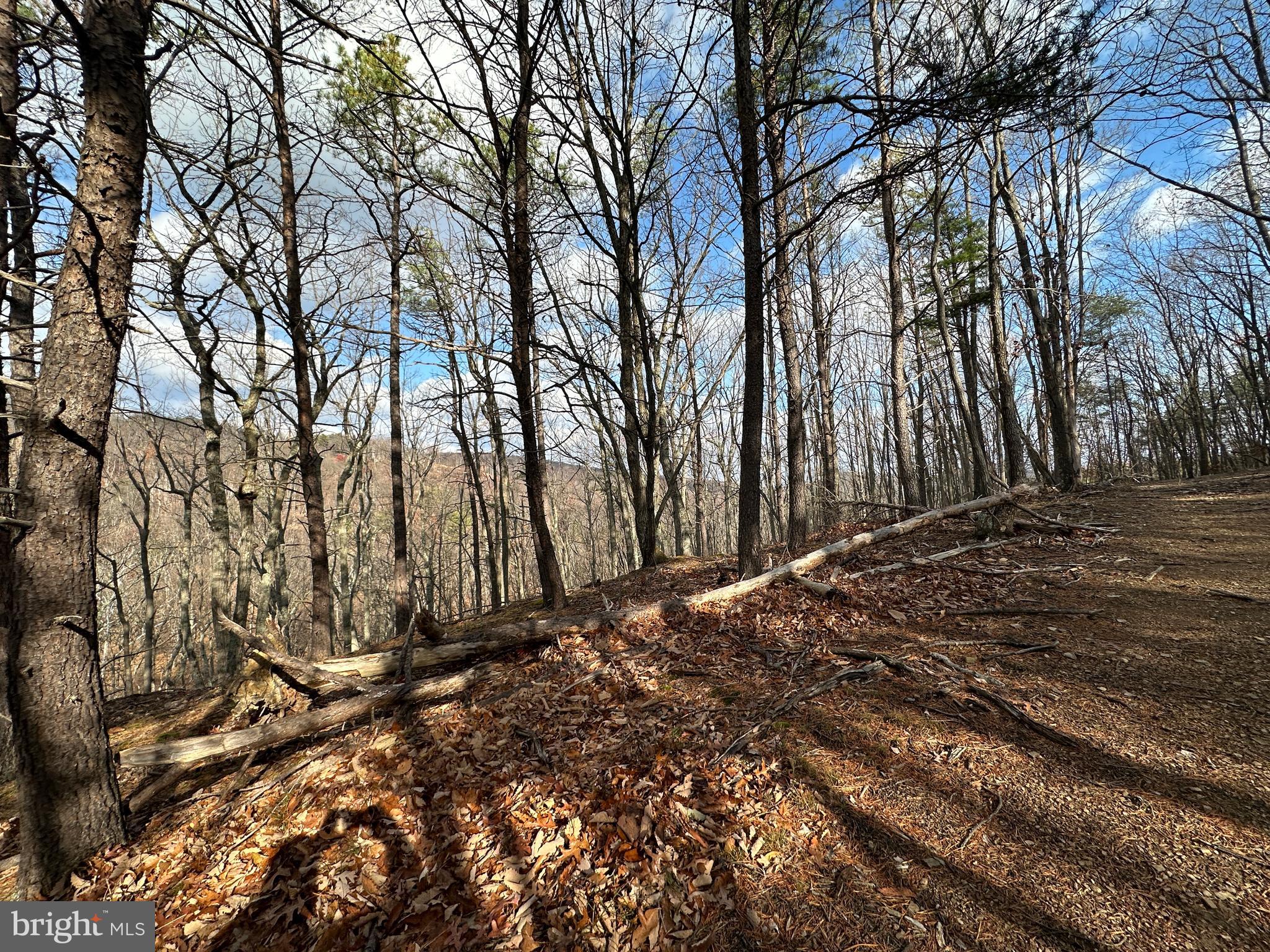 BLUFFS ON THE POTOMAC - Land