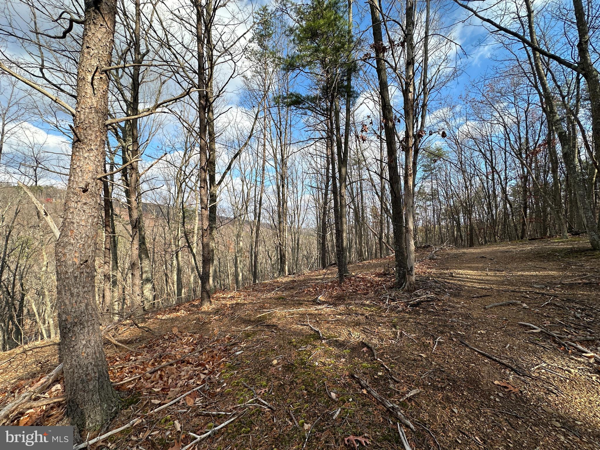 BLUFFS ON THE POTOMAC - Land