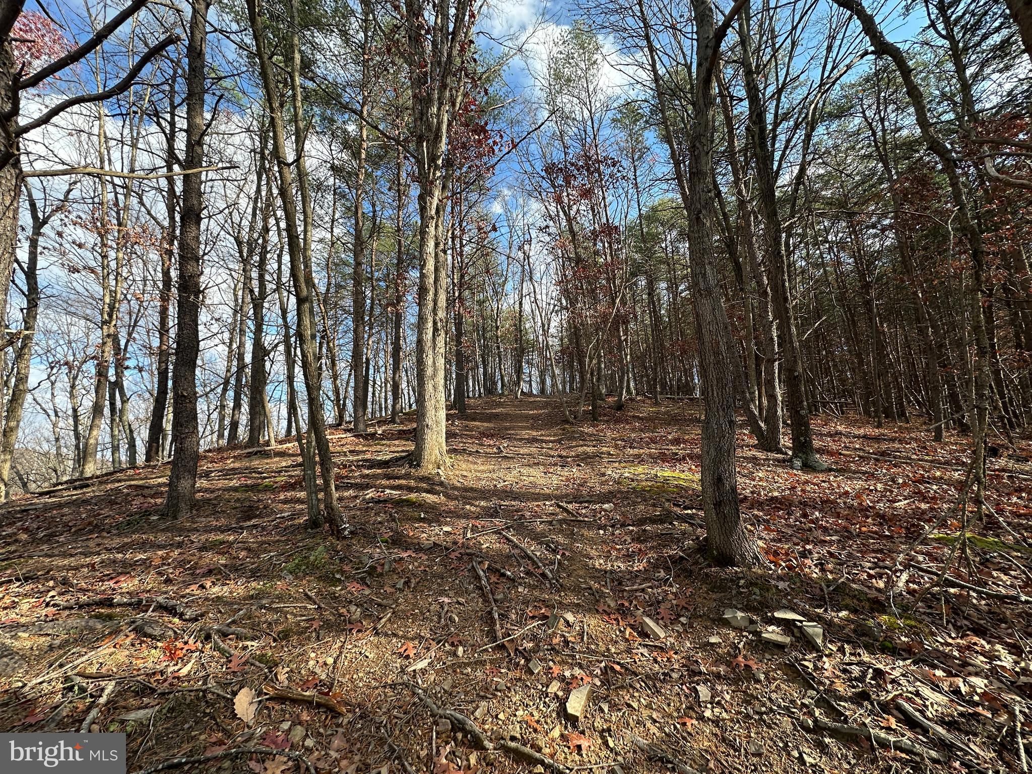 BLUFFS ON THE POTOMAC - Land