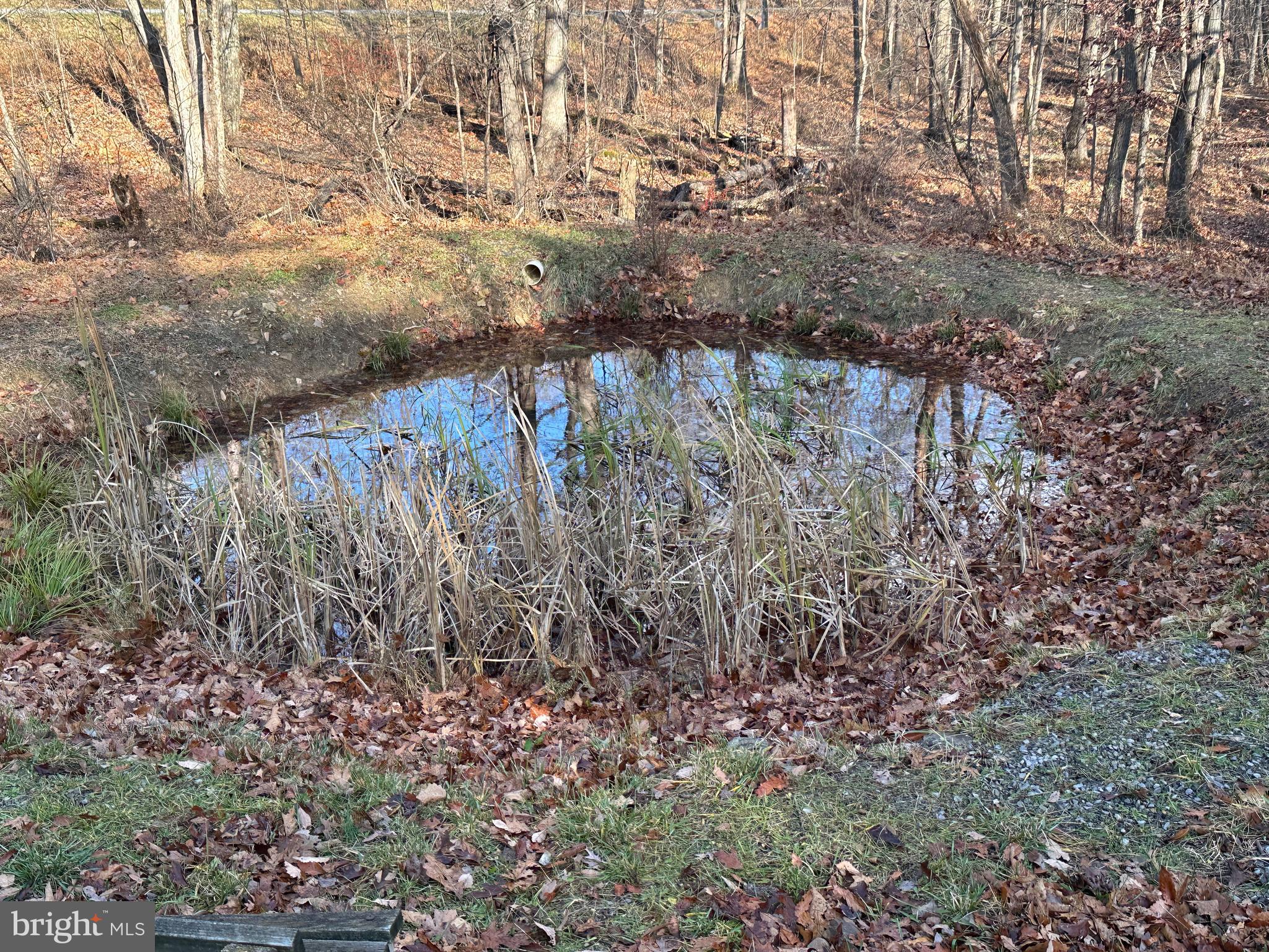 4475 GRACES CABIN ROAD