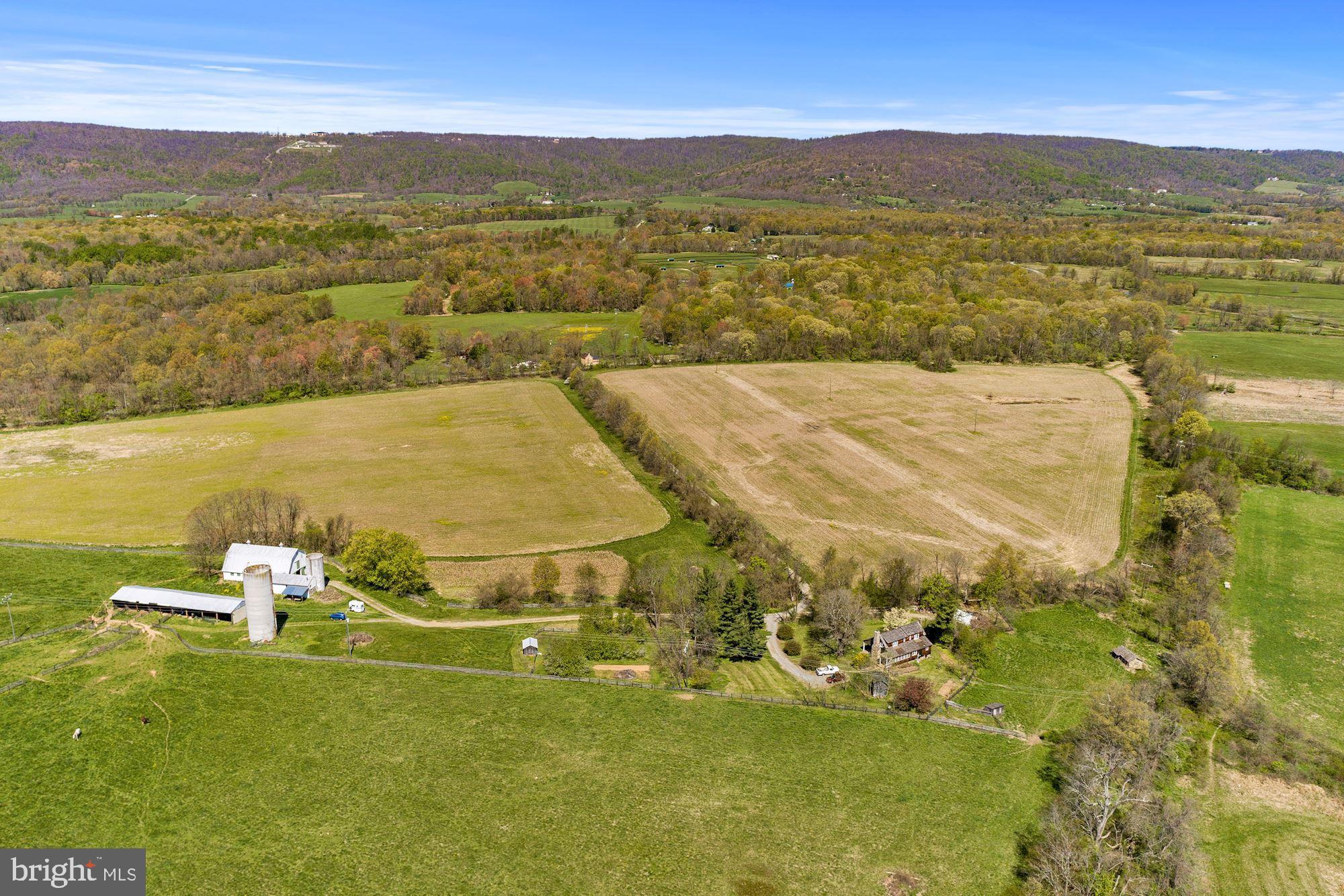 BLUEMONT - Residential