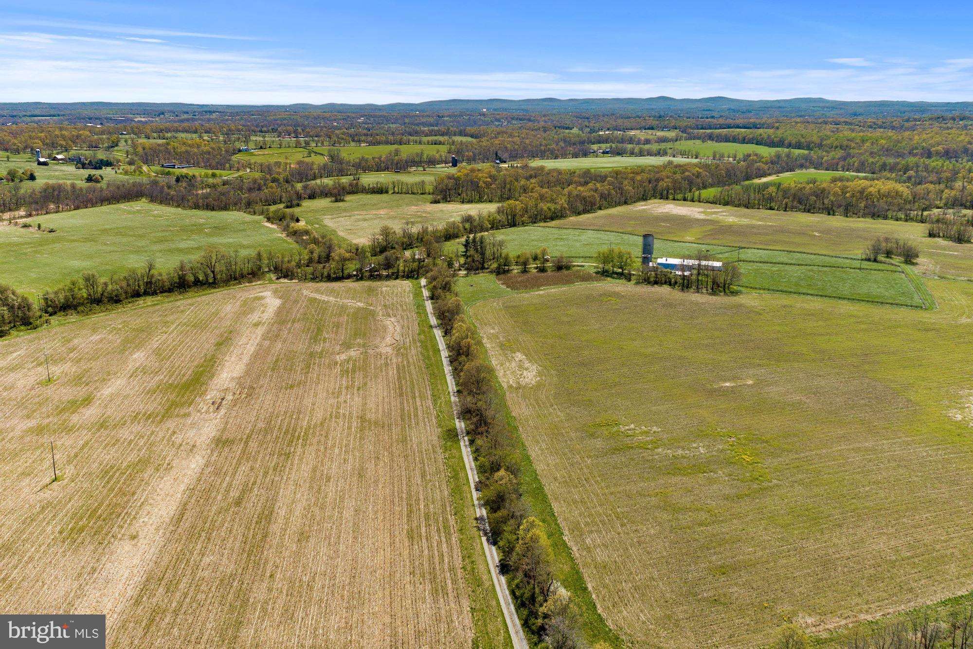 BLUEMONT - Residential