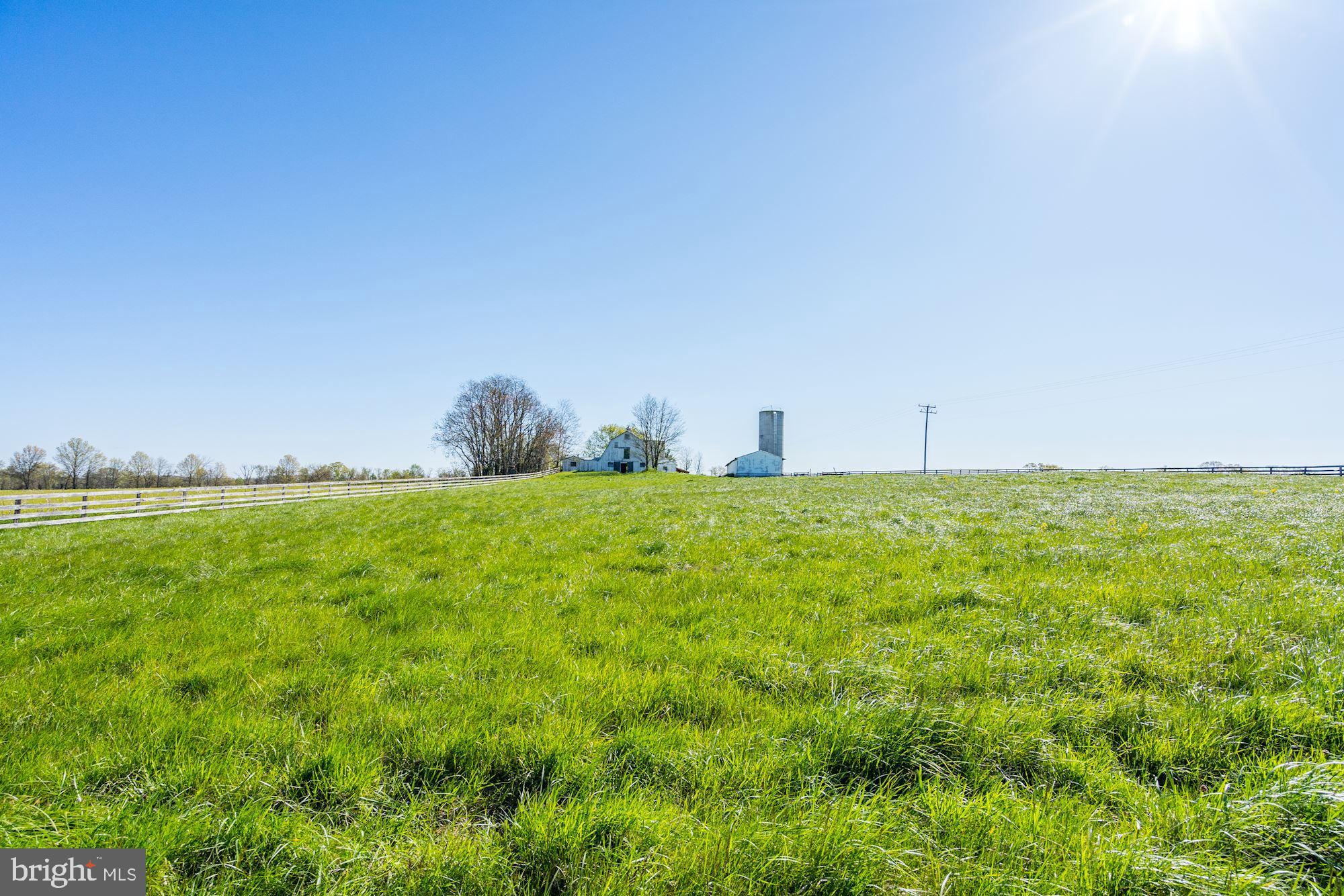 BLUEMONT - Residential