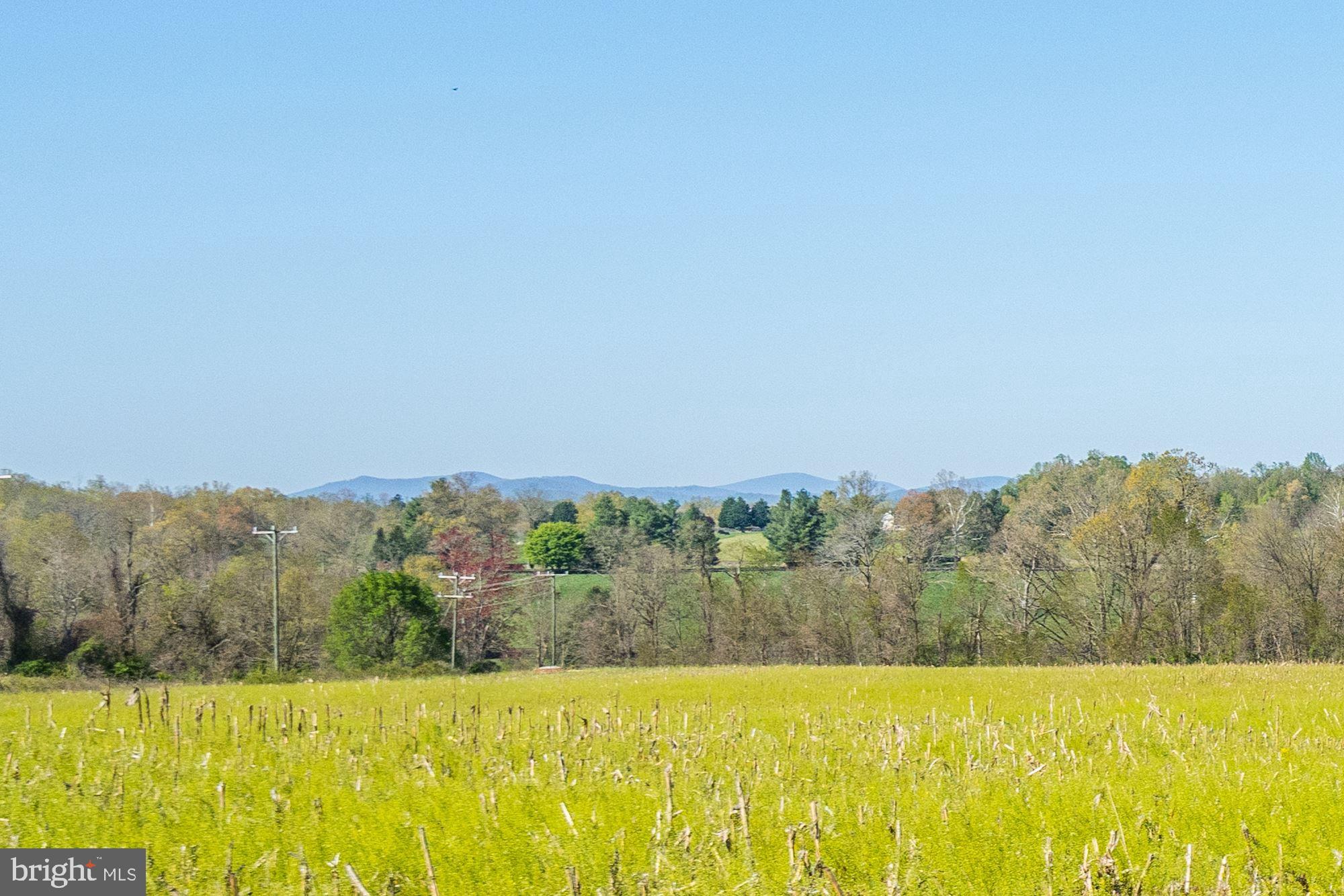 BLUEMONT - Residential