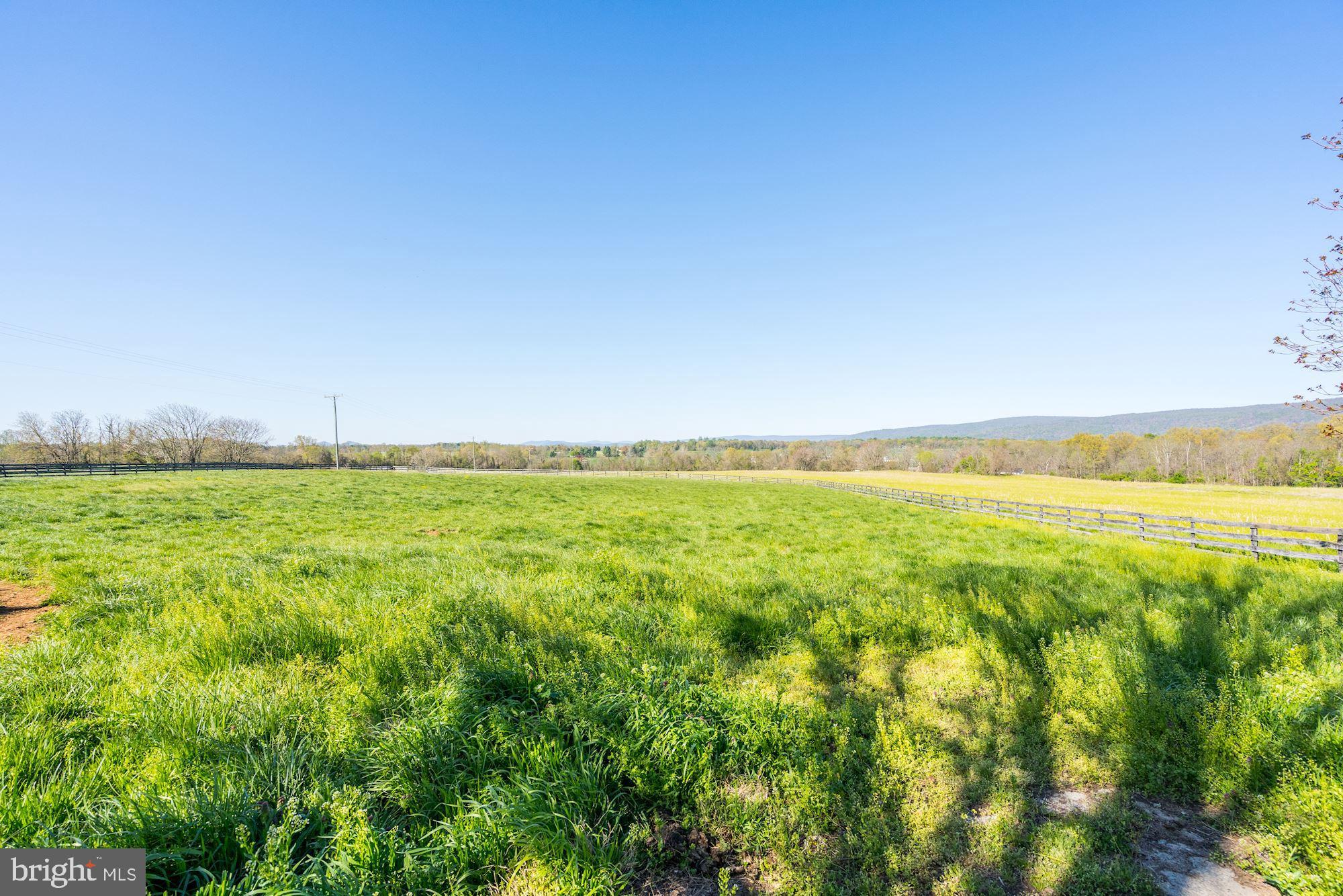 BLUEMONT - Residential