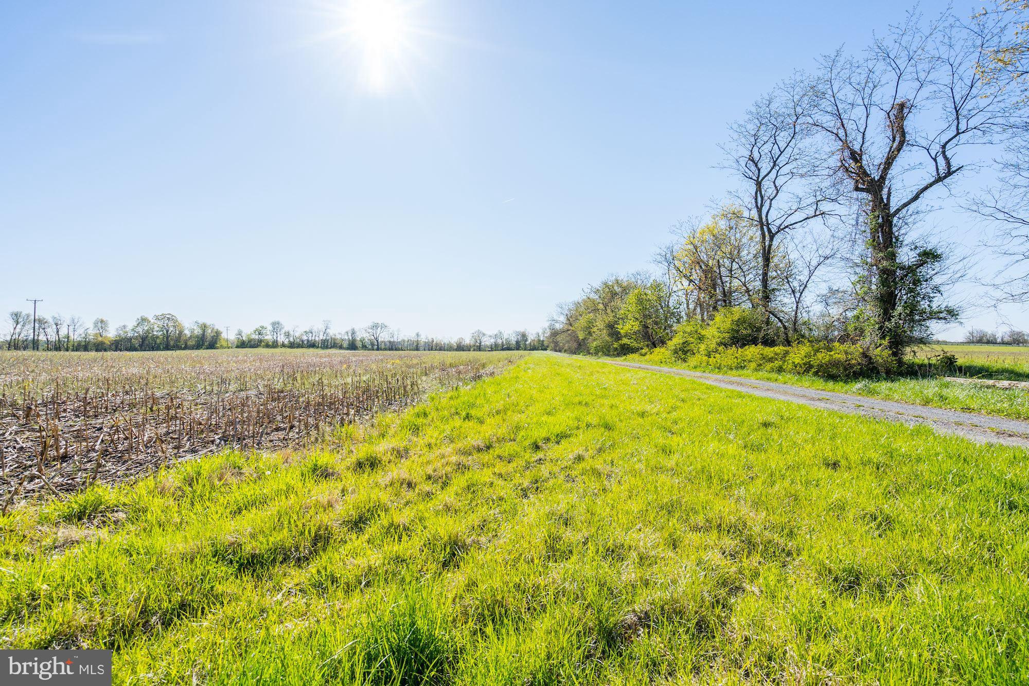 BLUEMONT - Residential