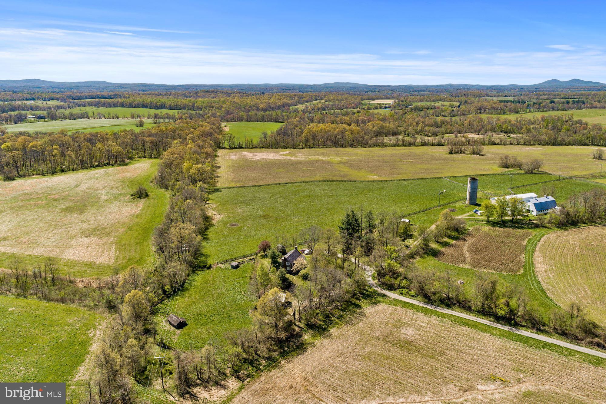 BLUEMONT - Residential