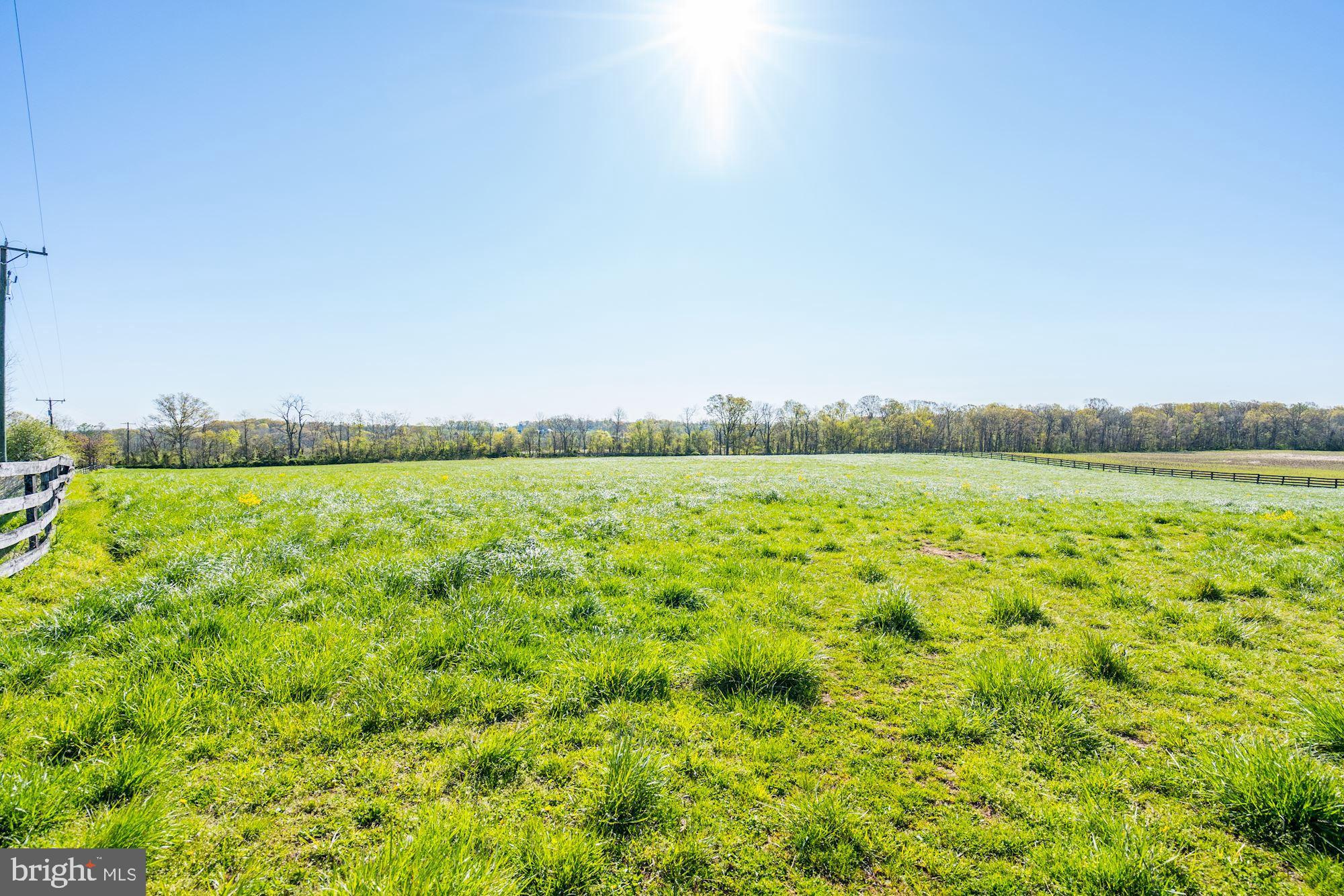 BLUEMONT - Residential