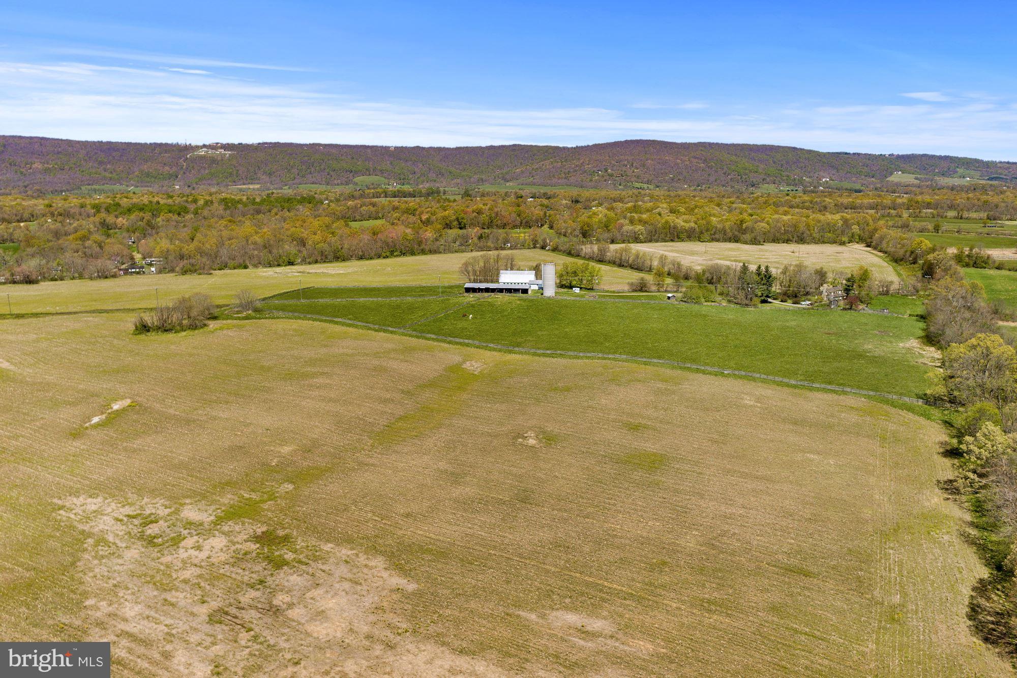 BLUEMONT - Residential