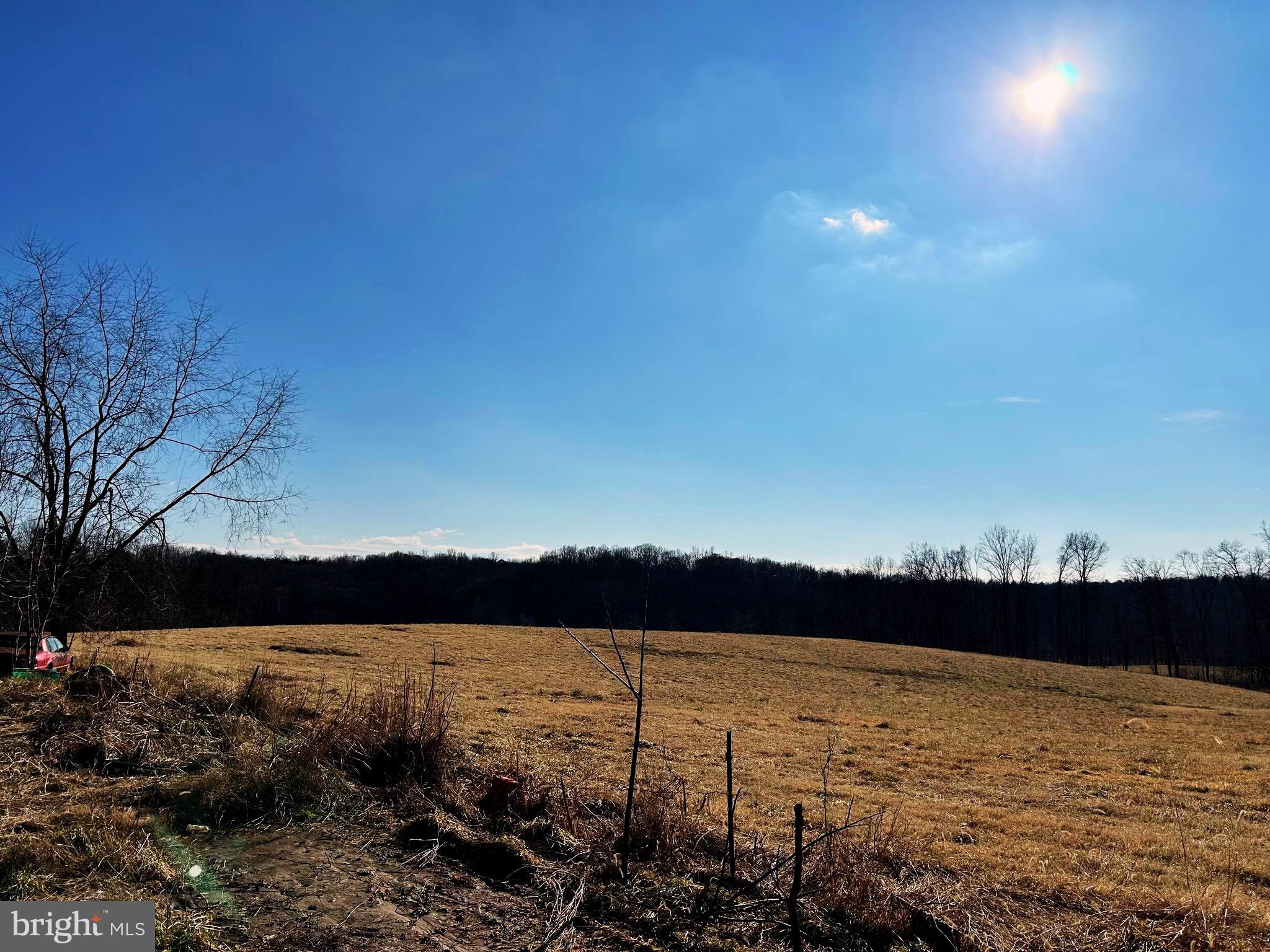 NONE AVAILABLE - Farm