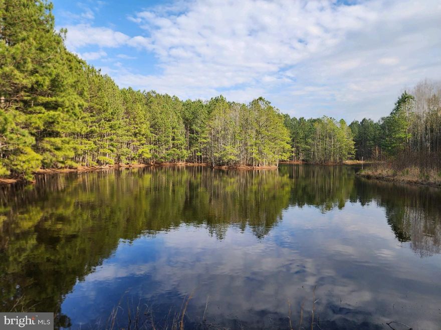 One of the Last Huge Timberlands left in Worcester County 401.84+/- Acres , Unrestricted , No easements or restrictions with cutting Timber or Clearing more acreage , Great Soils for Homesite , Hunting Lodge , Family Compound , Building Lots  etc...  4800 feet of Road Frontage on Voting House Road and   Forest Lane Road ,  Great Deer and Turkey Hunting , incredible Road system throughout the Property totaling  5.8 Miles of high and dry Roads ,Breams , Shooting lanes , 11.3  acres of 4 separate Ponds and impoundment for Ducks & Geese ,  Multiple  Food plots , Tons of Shooting lanes in every directions at Stand locations   31 Acres of Enhanced Wetlands  in the back of the property, No Hunting lease to deal with, Buy and Hunt