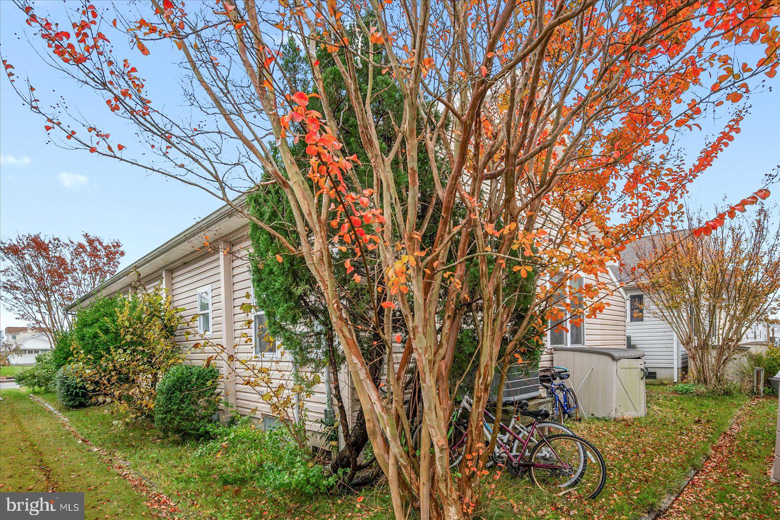 MONTEGO BAY - Residential