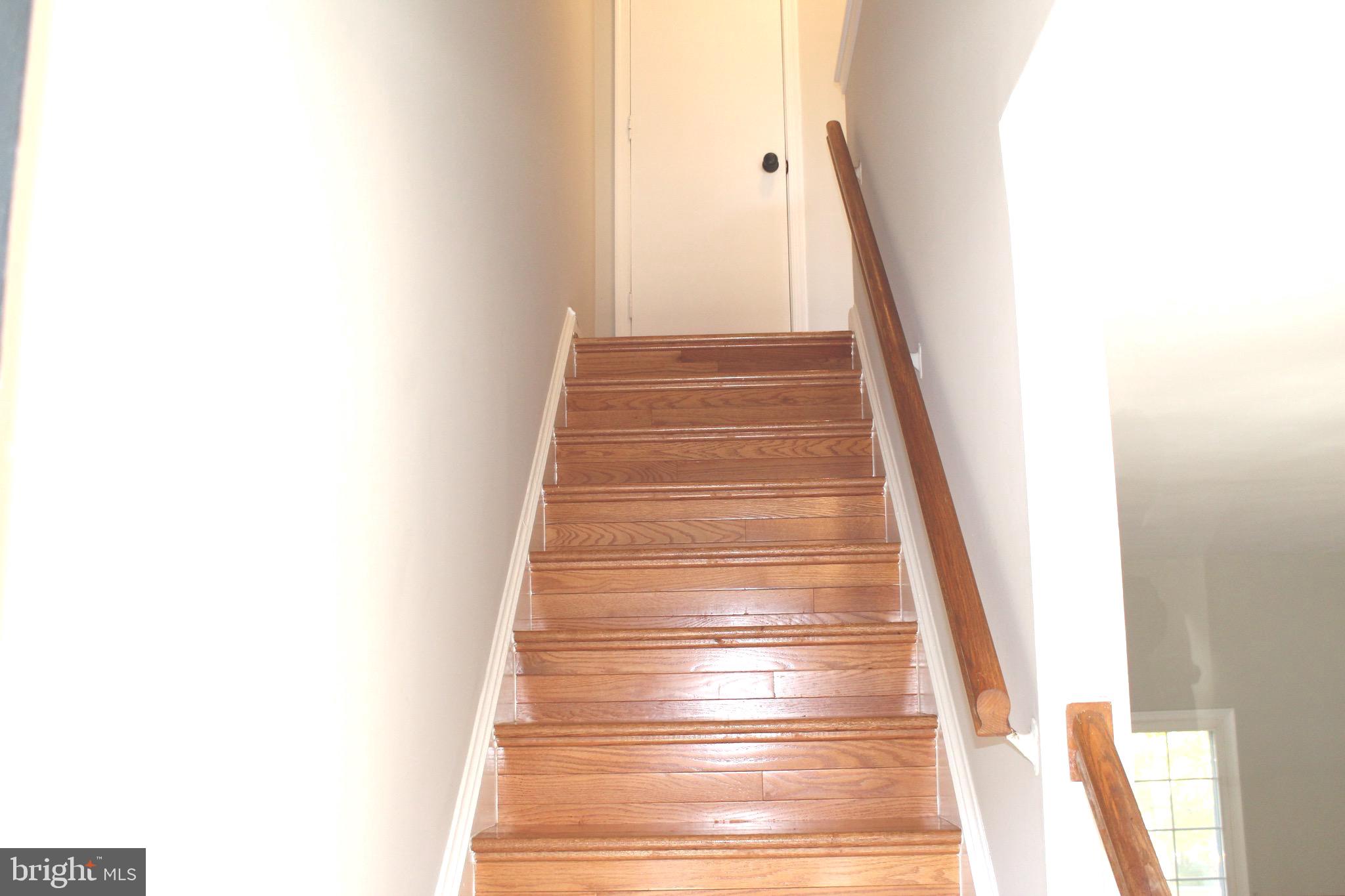 CARDINAL FOREST - Residential