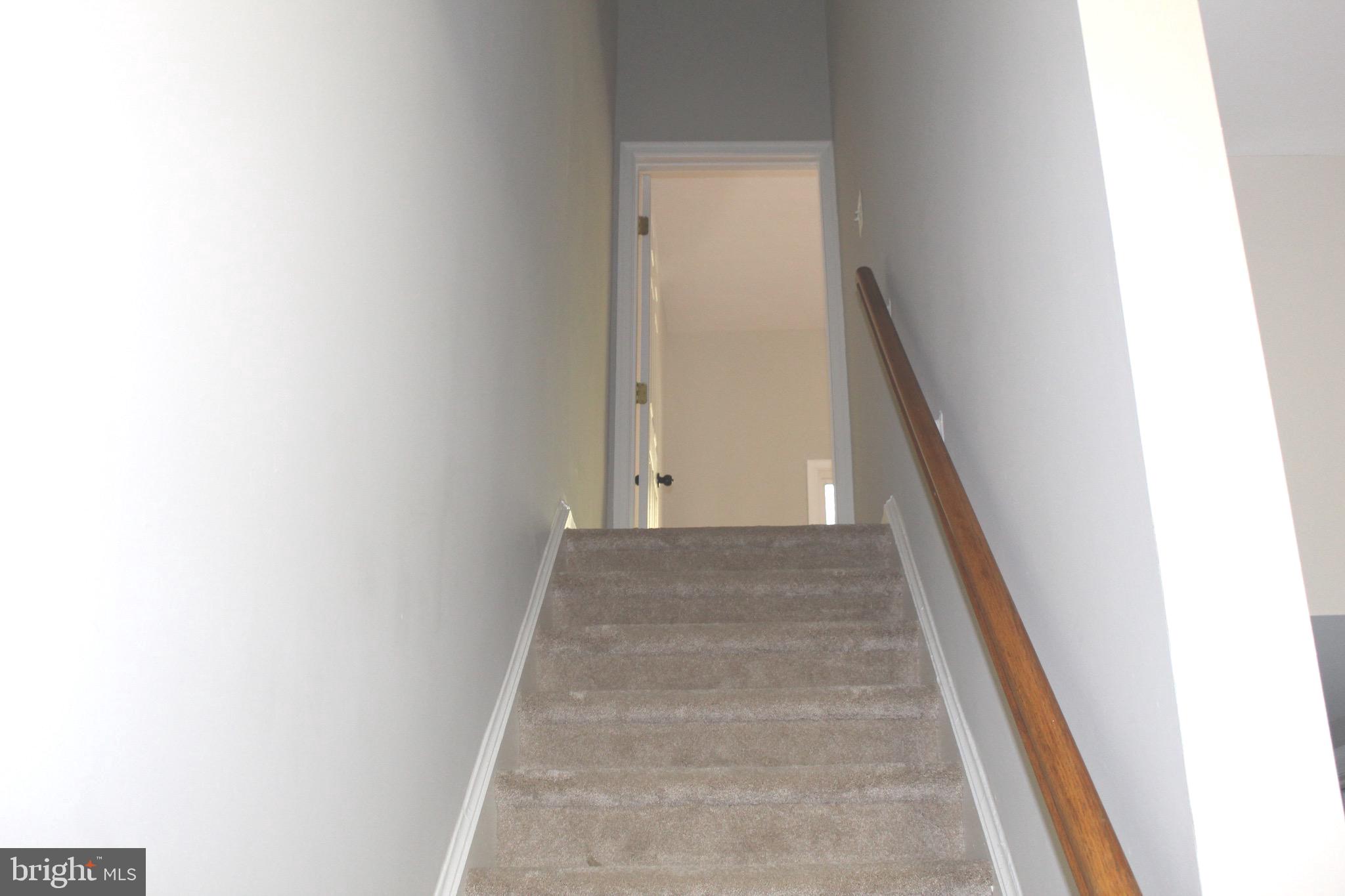 CARDINAL FOREST - Residential