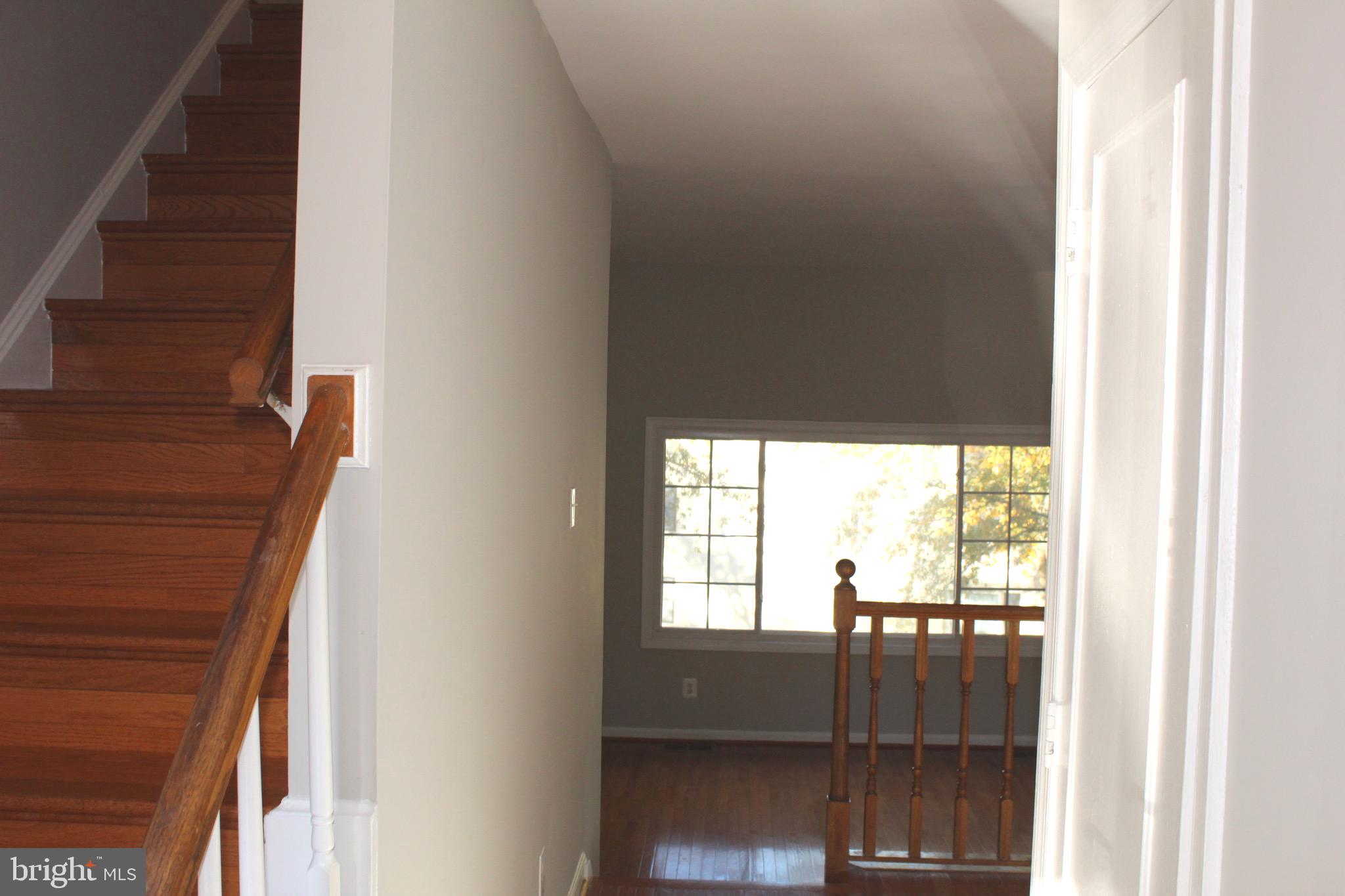 CARDINAL FOREST - Residential