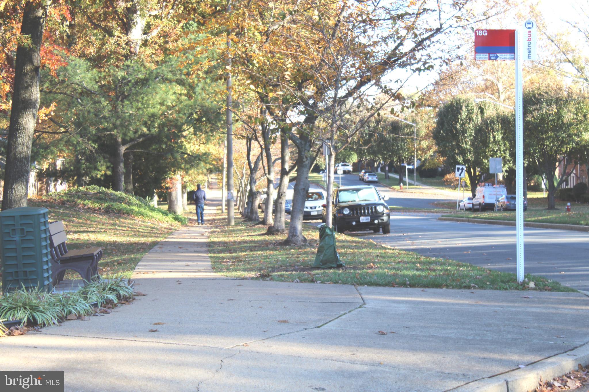 CARDINAL FOREST - Residential