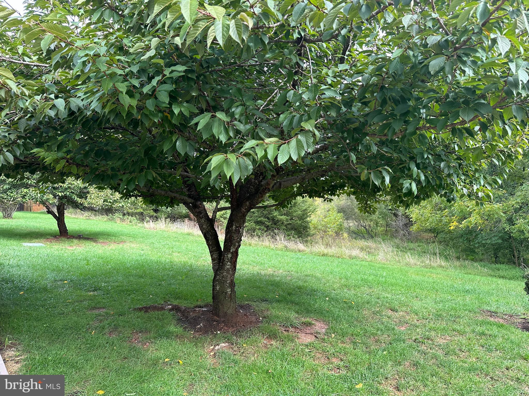 ASHBURN VILLAGE - Residential Lease