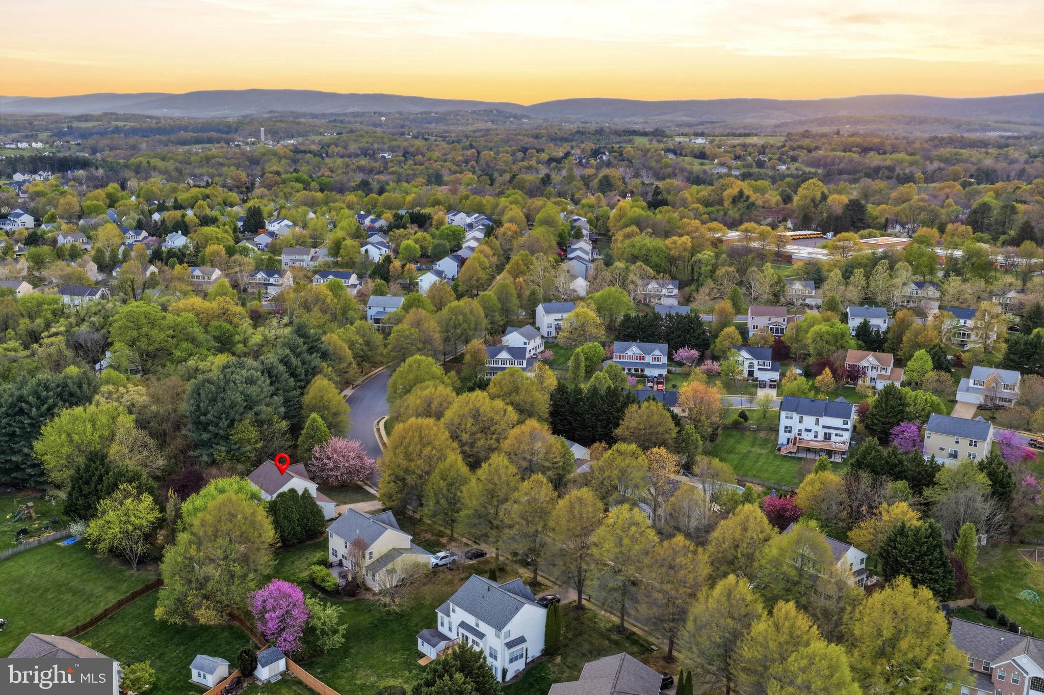 LOCUST GROVE - Residential