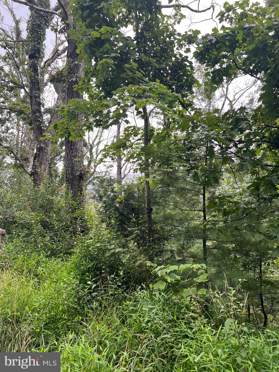 SUNSET RIDGE LOT 16