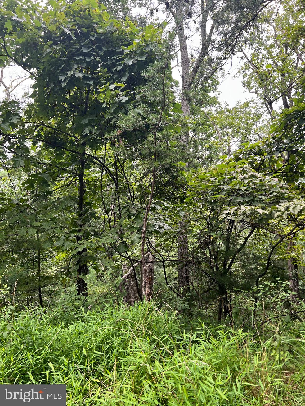 SUNSET RIDGE LOT 16