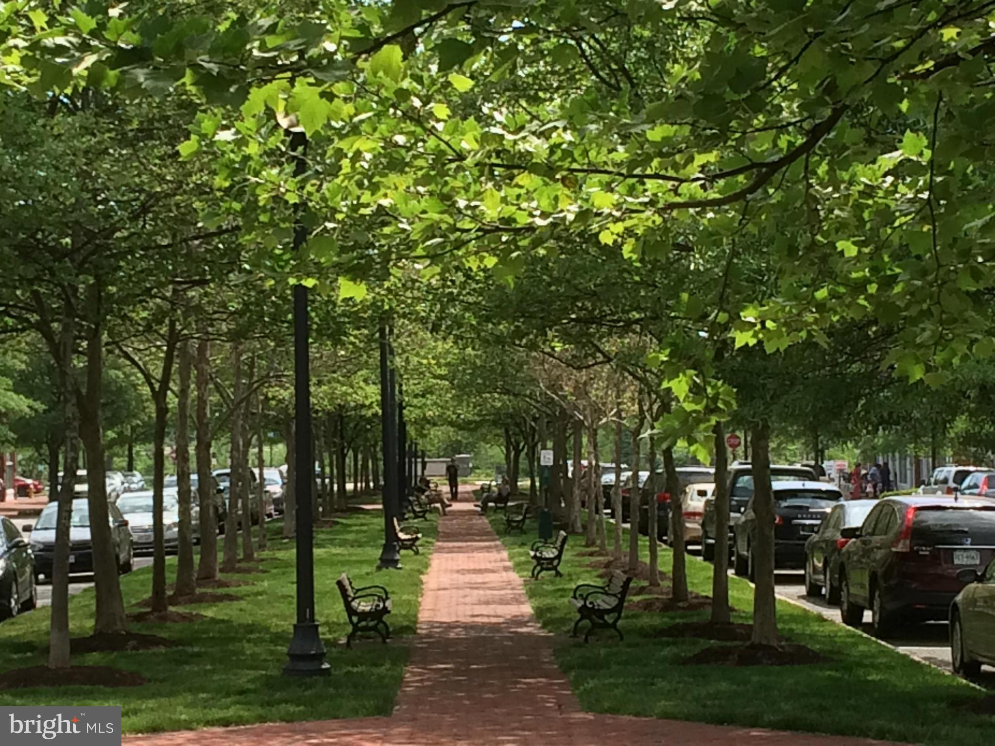 CAMERON STATION - Residential Lease