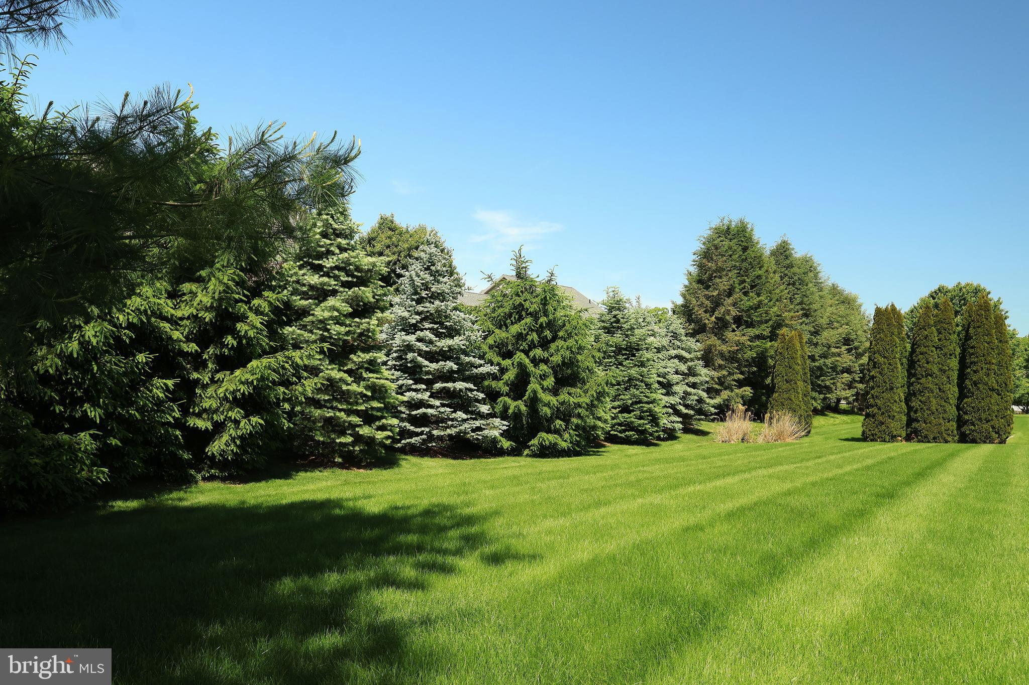 SAYBROOK - Residential