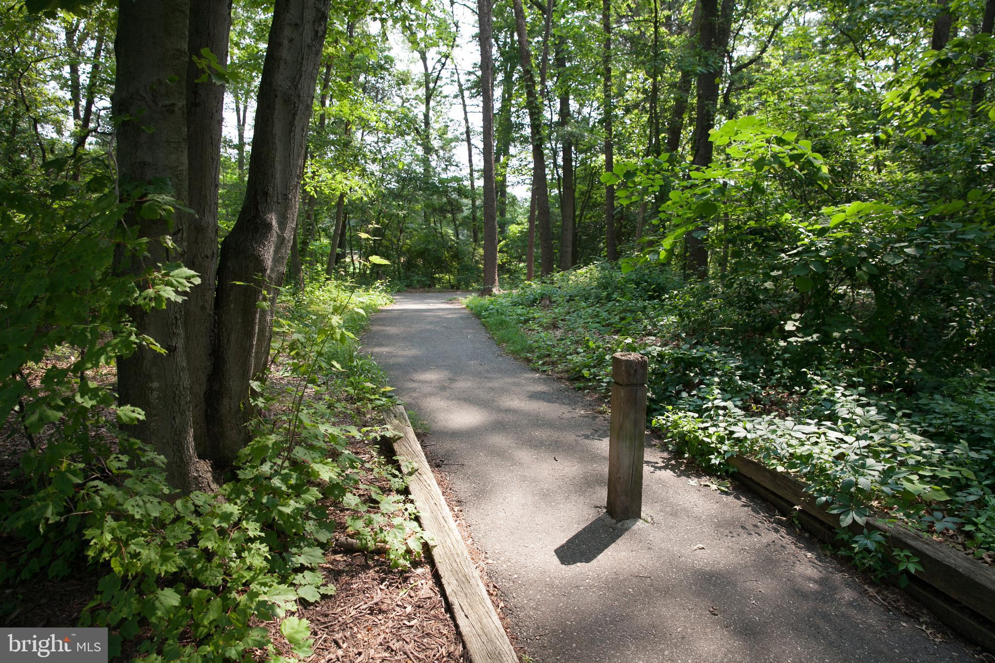 SHIPLEYS CHOICE - Residential