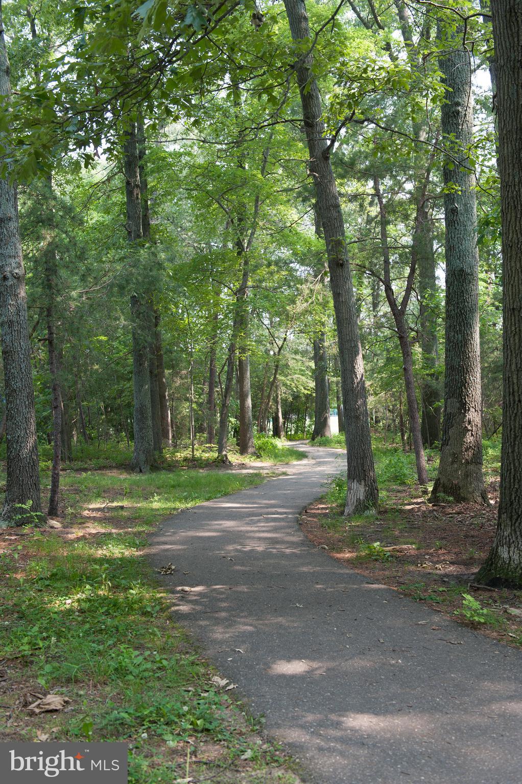 SHIPLEYS CHOICE - Residential