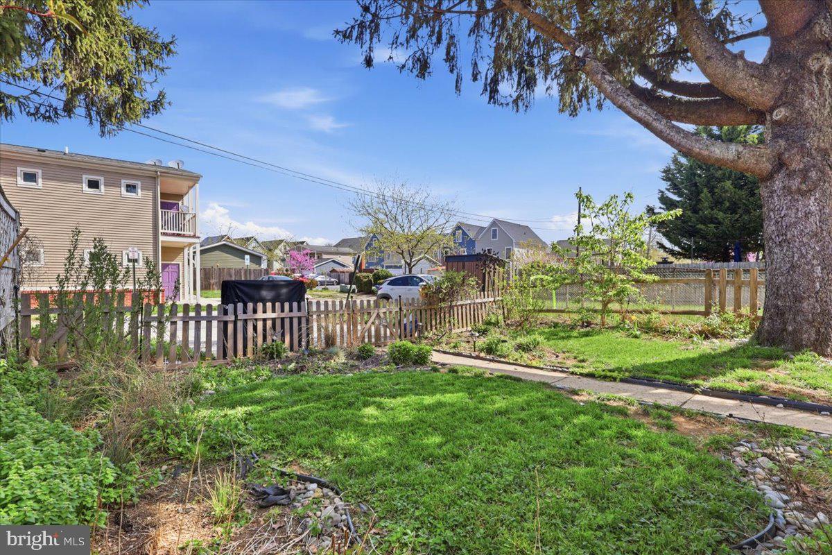 DOWNTOWN FREDERICK - Residential